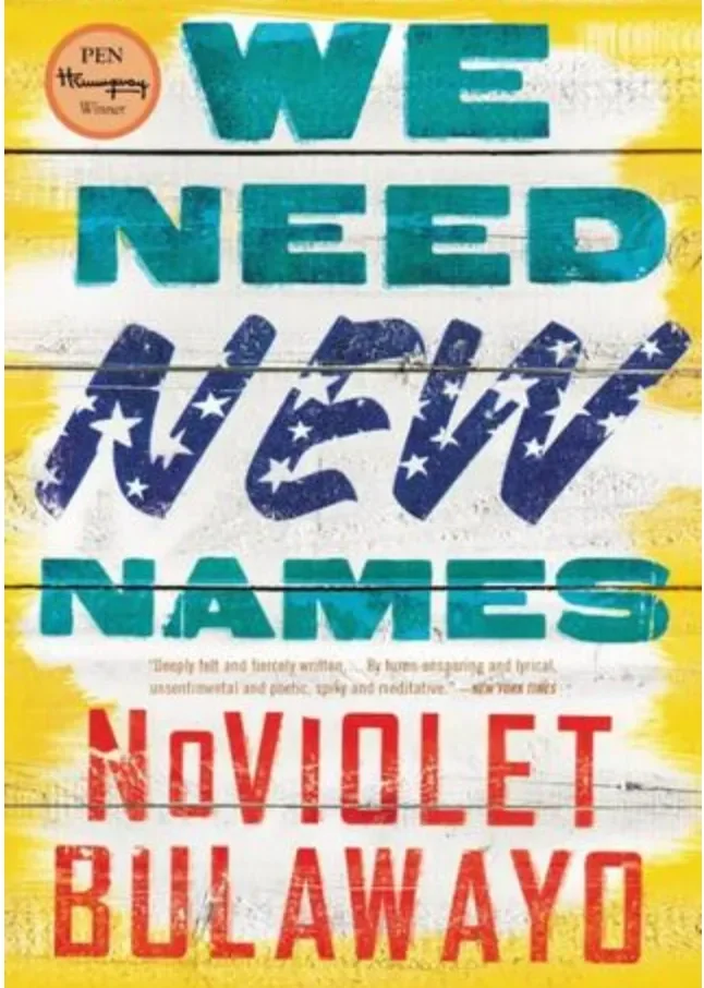 Book Recommendation: We Need New Names