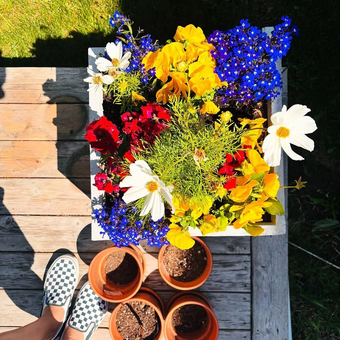 Top-down view of a rectangular flower box filled with yellow, white, red, and blue flowers on a wooden deck. Four empty terracotta pots are placed below the flower box, and a person's feet in checkered slip-on shoes are visible on the left side, casting shadows on the deck.