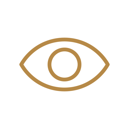 A simple icon of an eye with a circular pupil, outlined in brown on a black background.