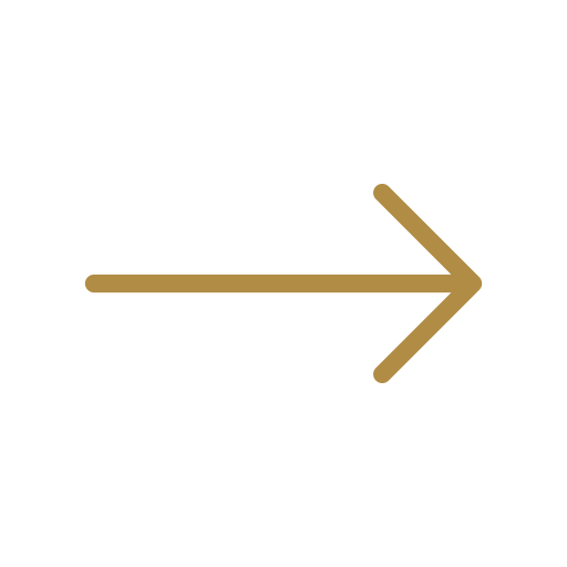 Black arrow pointing to the right with a golden outline.
