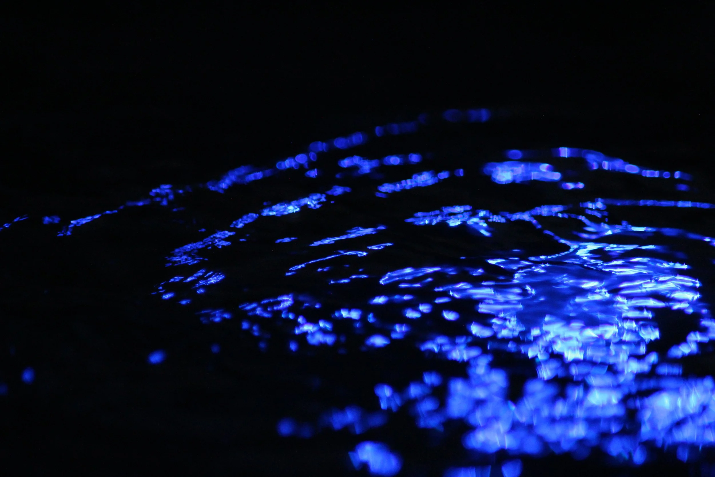 Abstract_Blue_Ricard