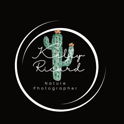 AZ ART BY RICARD