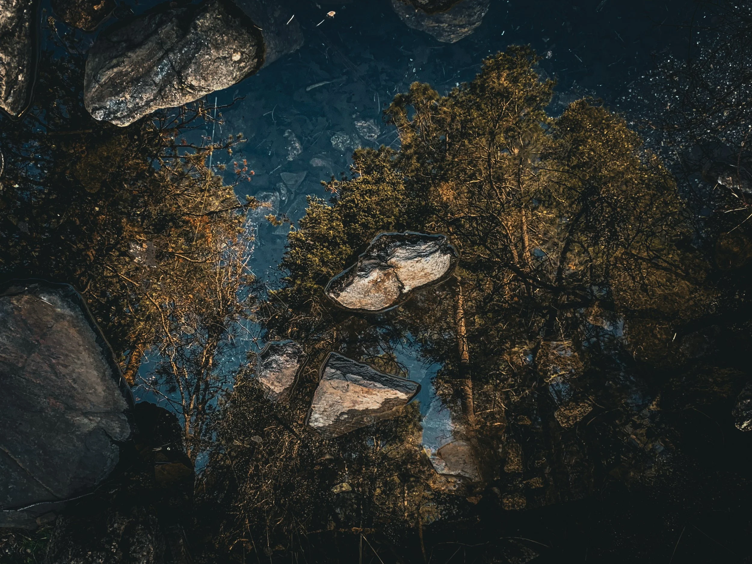Natures_Reflections2_By_Ricard