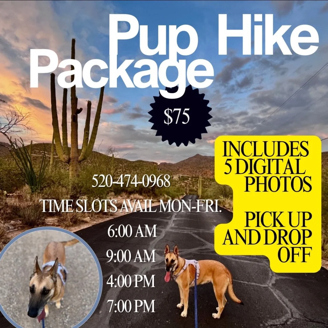 Flyer advertising a pup hike package for $75 that includes 5 digital photos. The hike is available Monday through Friday at 6:00 AM, 9:00 AM, 4:00 PM, and 7:00 PM. The phone number for booking is 520-474-0968. The flyer features a desert landscape with cacti, a sunset sky, and a photo of a dog on a leash.
