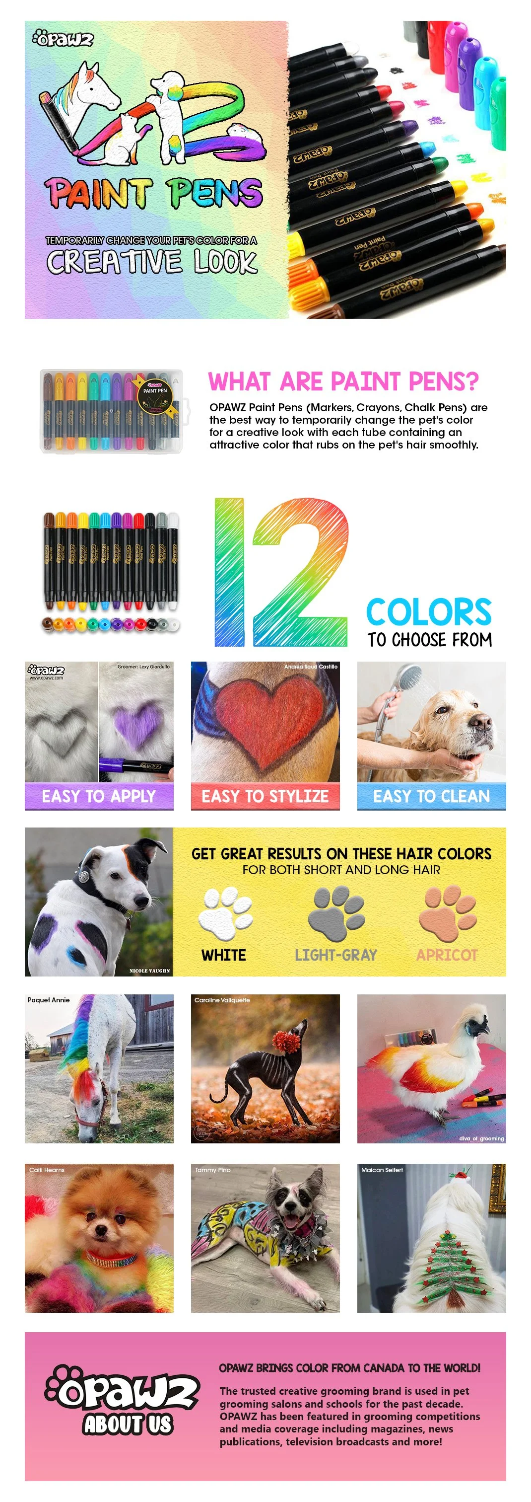 A+-Whole-Page-V13.jpg