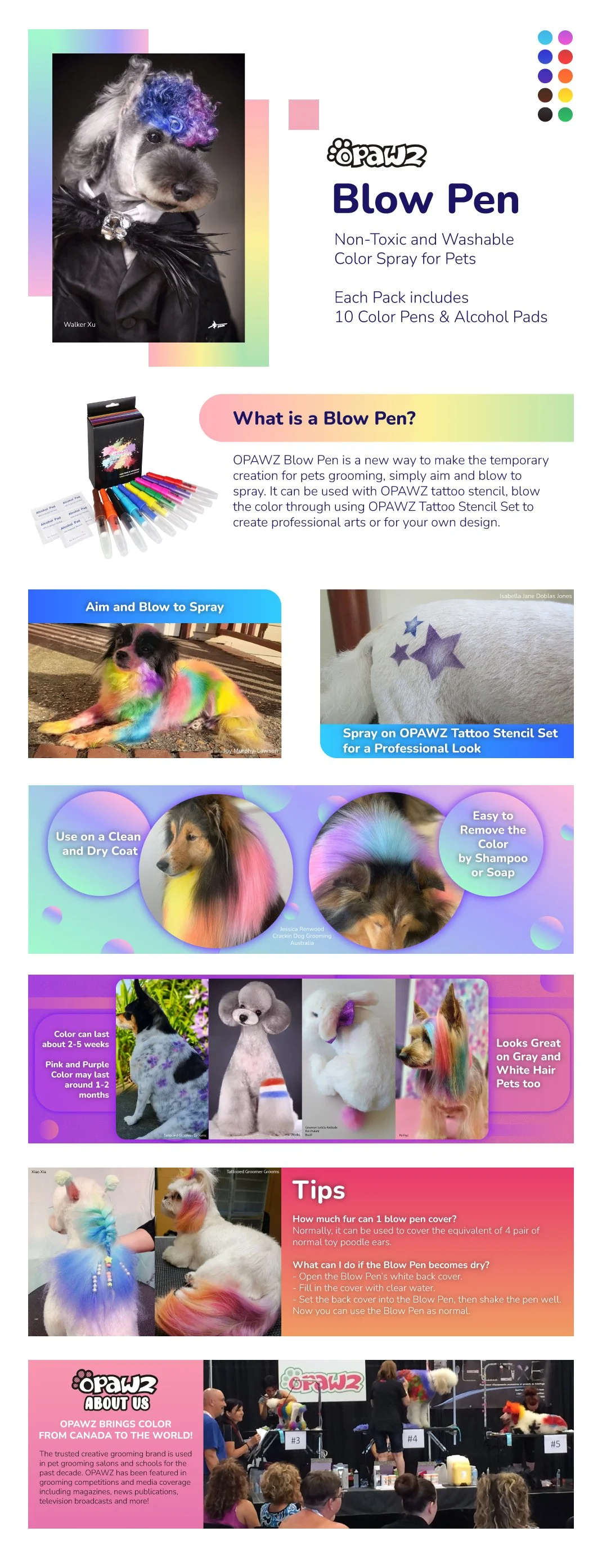 A+-Whole-Page-V6.jpg