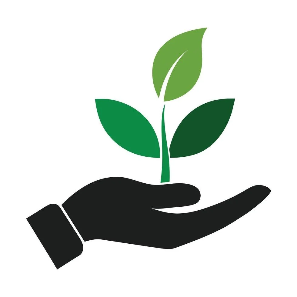 A black hand holding a green plant with three leaves.