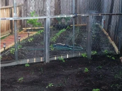 Garden - past and present!!!!!