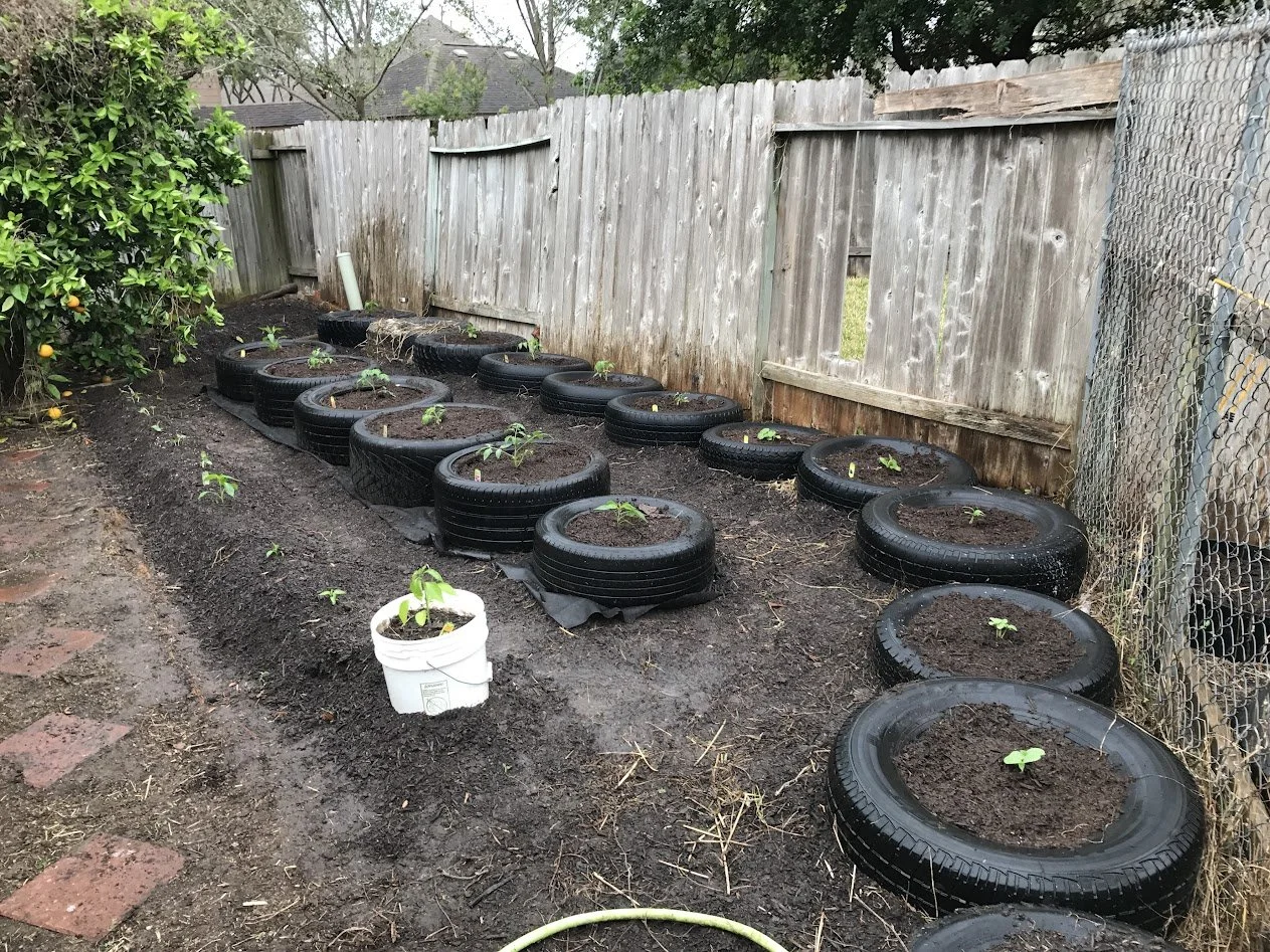 My Garden through the years 2009-2020