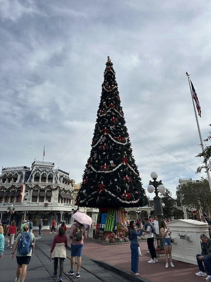 xmas24.jpg