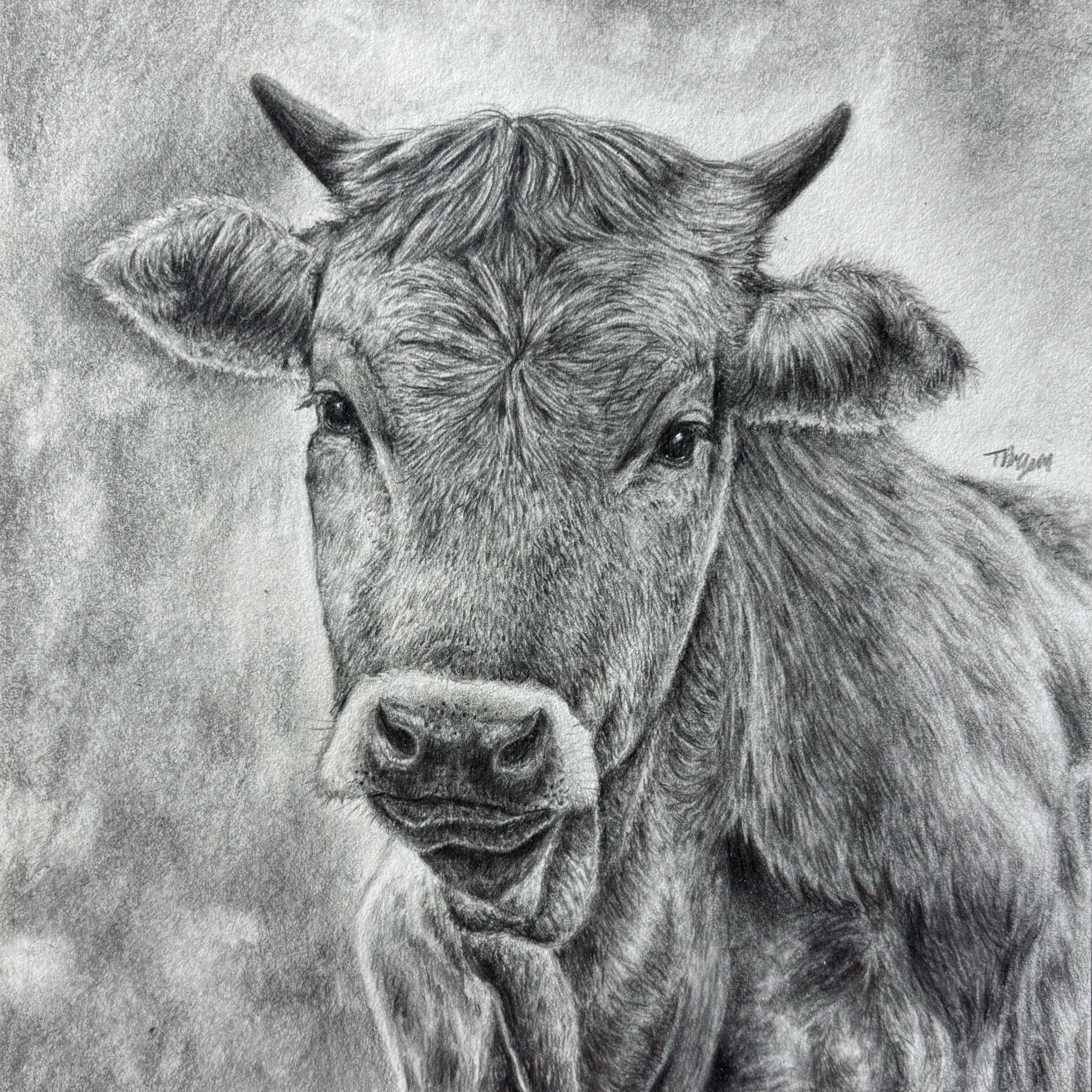 Cow.png