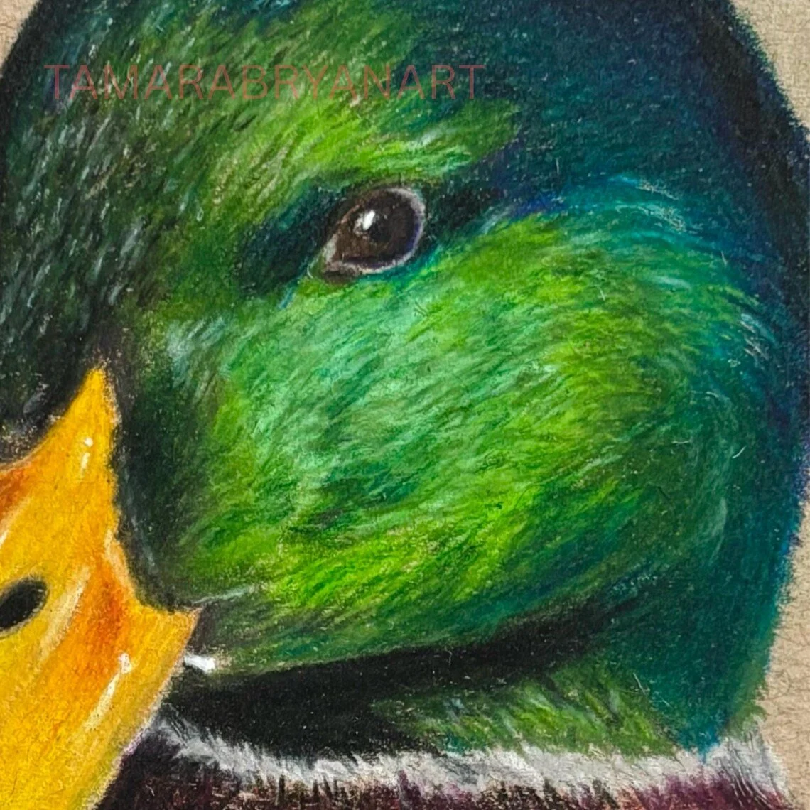 Duck File Close up.jpg