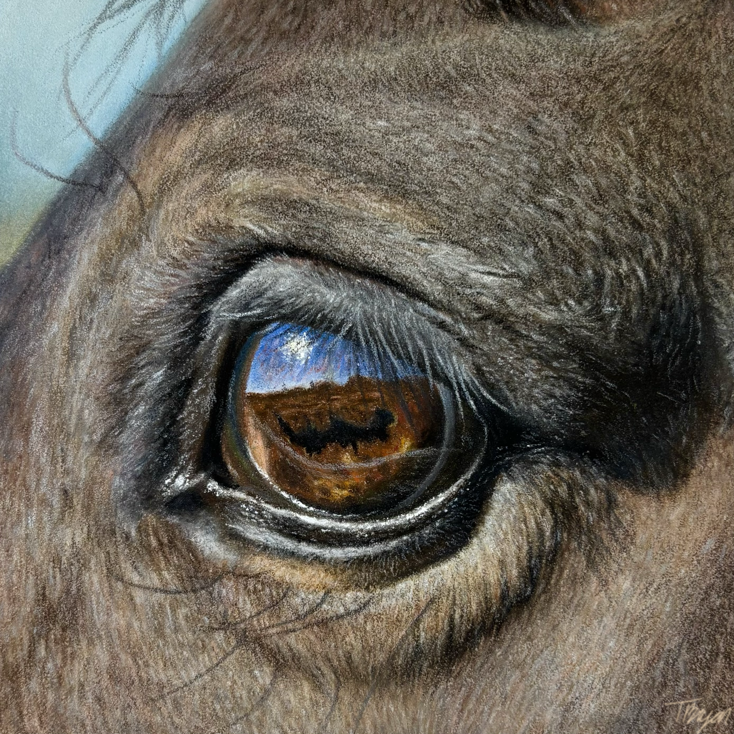 A close-up of a person's eye with prominent, detailed eyelashes and eyelid wrinkles.