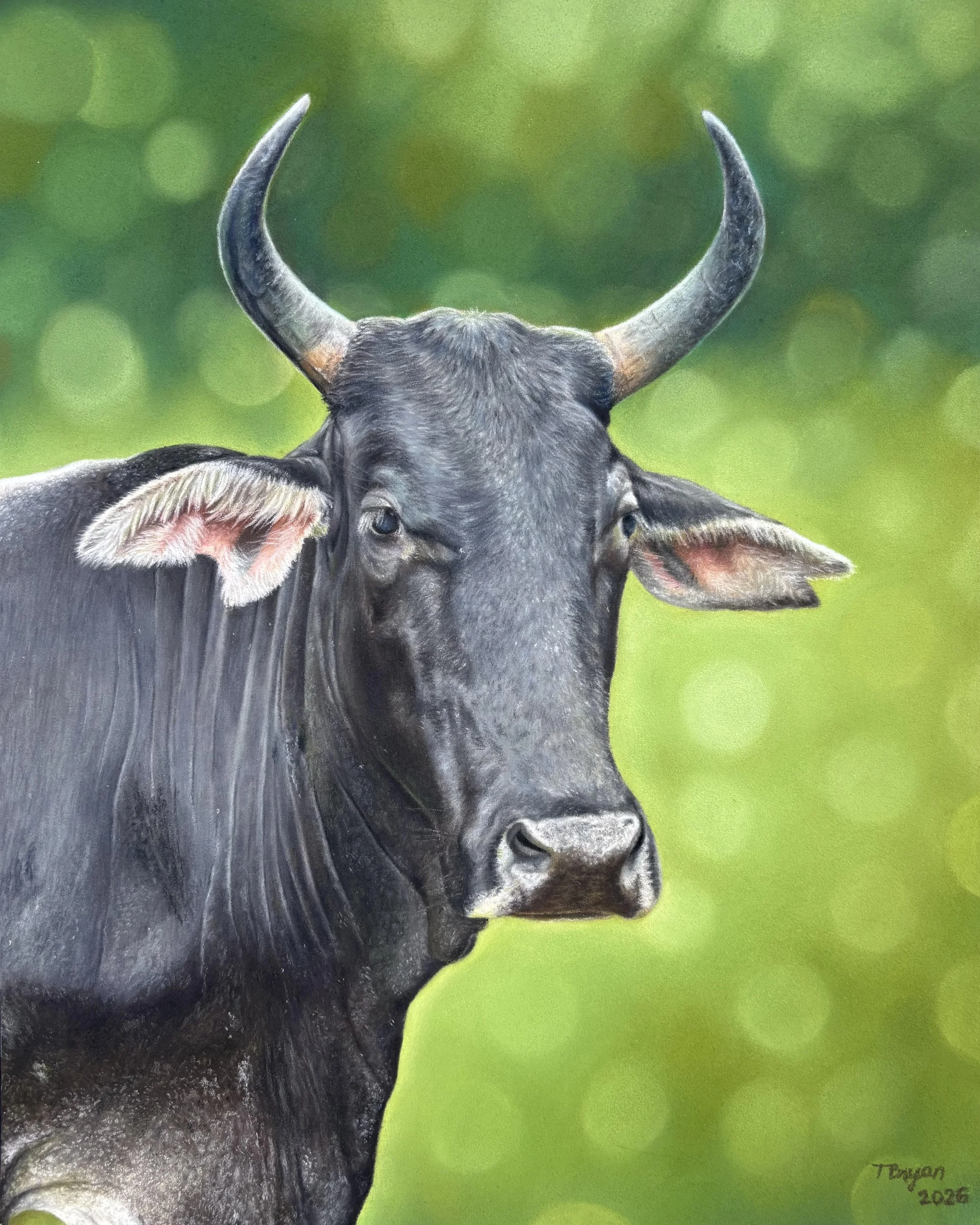 Painting of a black buffalo with gray horns against a green background, signed 'T. Nguyen 2026' at the bottom right.
