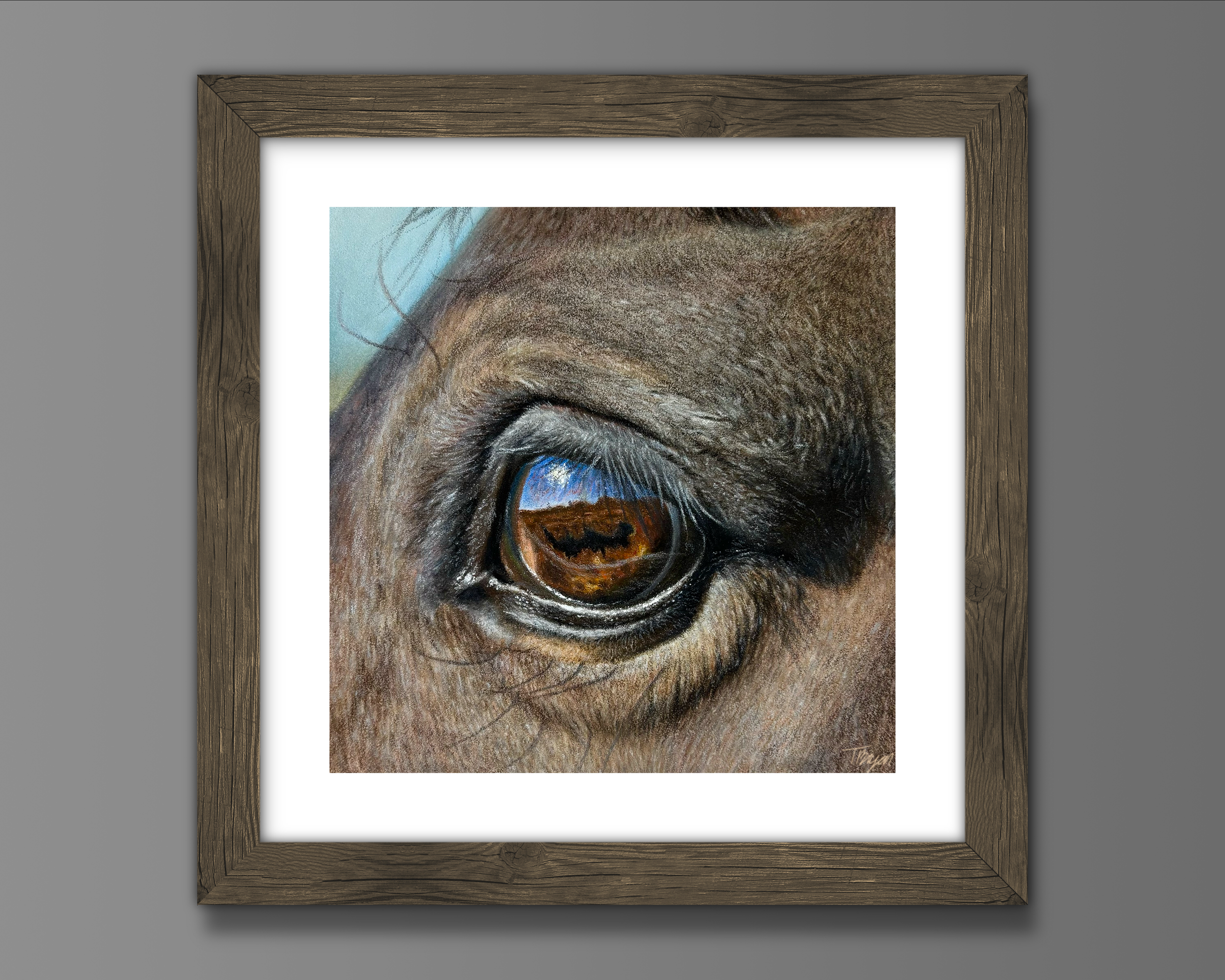 Horse Eye Print Cover ETSY.png