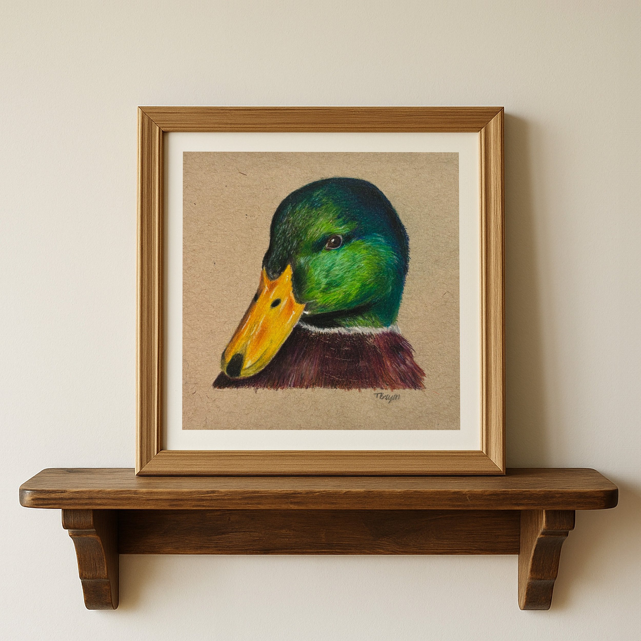 6x6 Mallard Duck Art Print