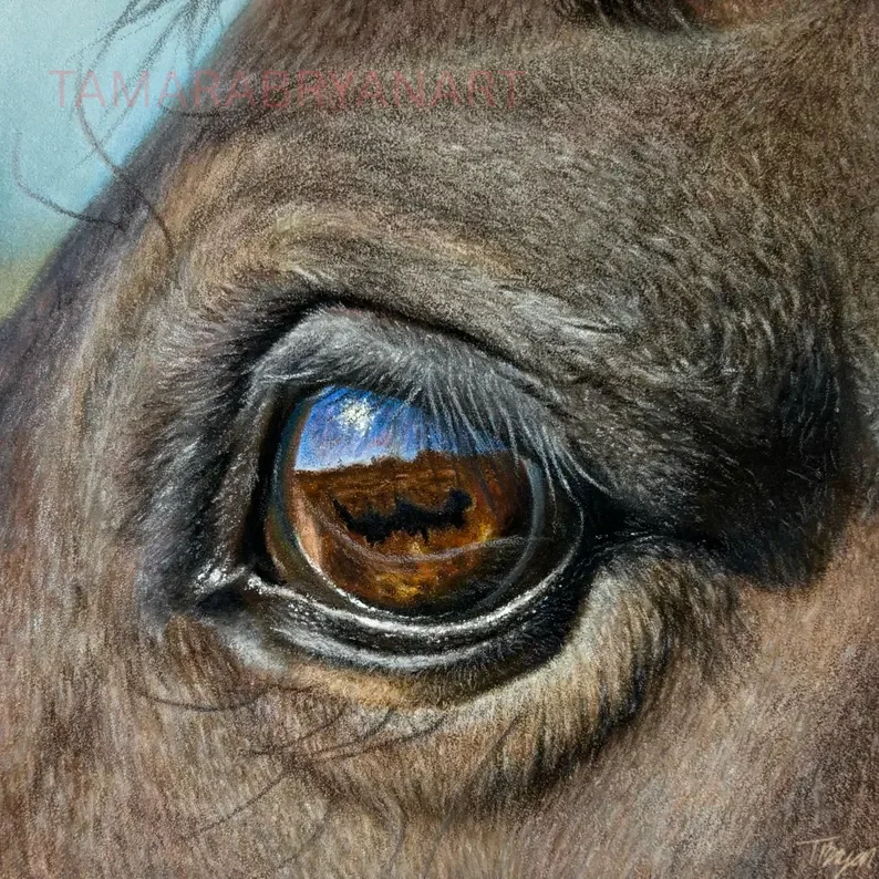 Close-up of a horse's eye with reflection of a person and landscape in the eye.