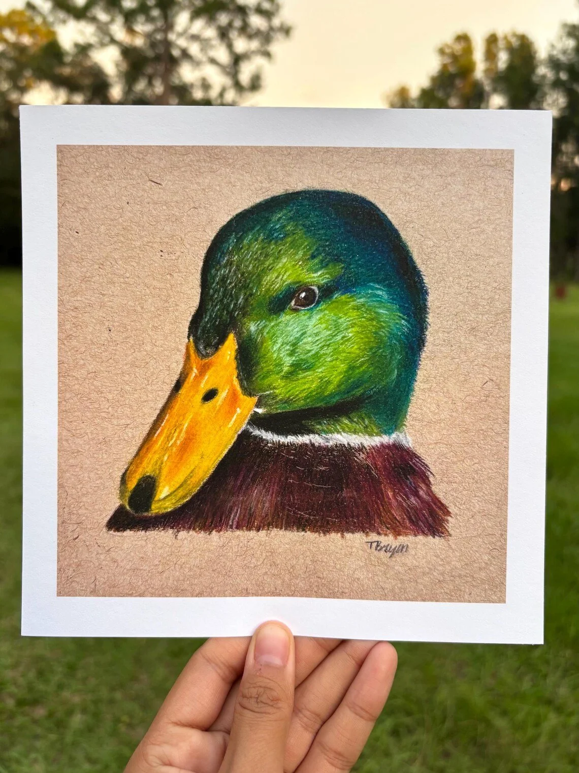 Duck with Background.jpg