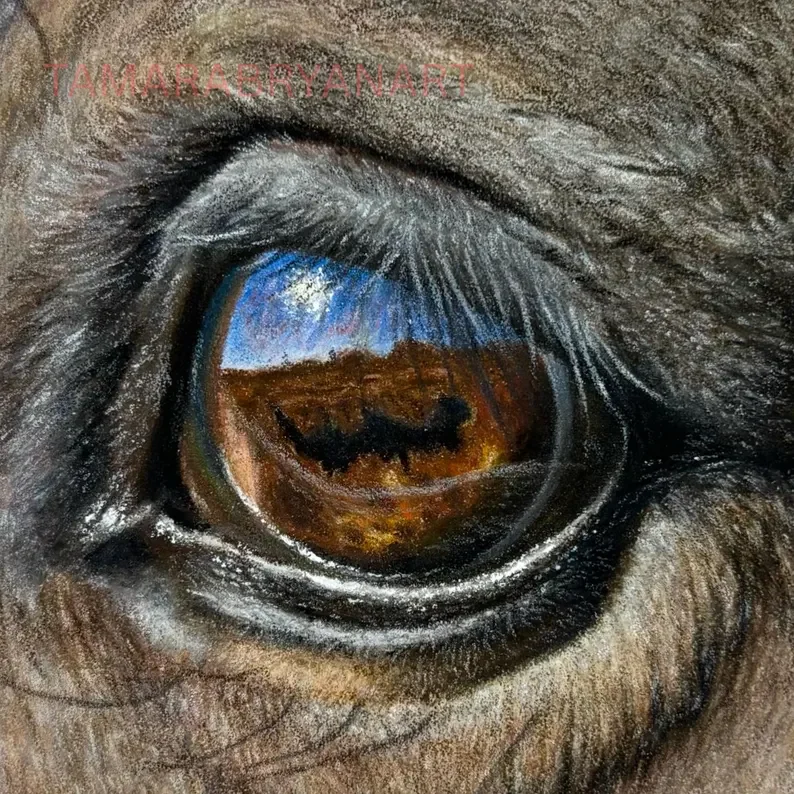Horse Eye Closeup.webp