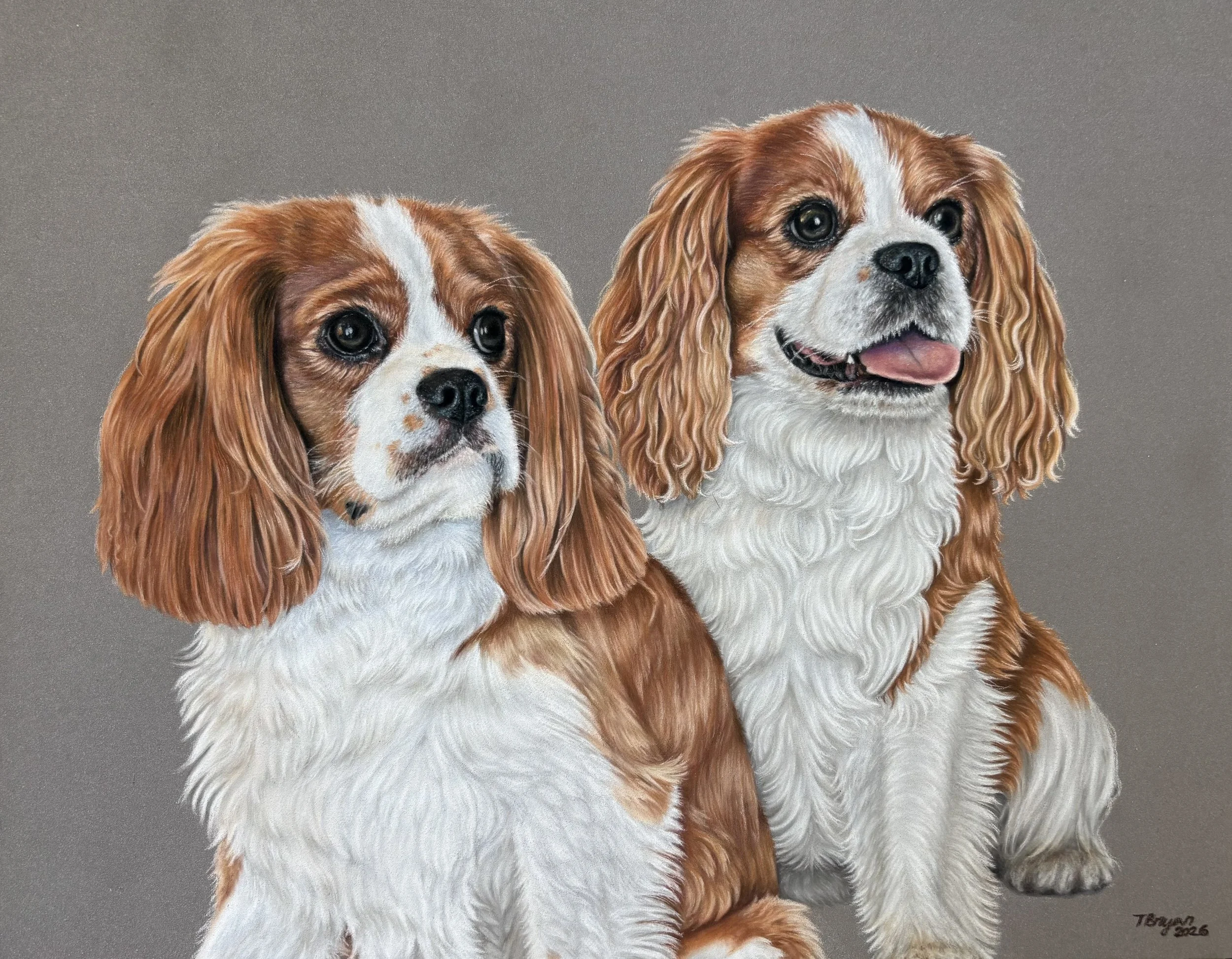 Painting of two Cavalier King Charles Spaniel dogs, one with a slightly darker coat and the other with a lighter, wavy coat, both with expressive brown eyes, set against a plain, neutral background.