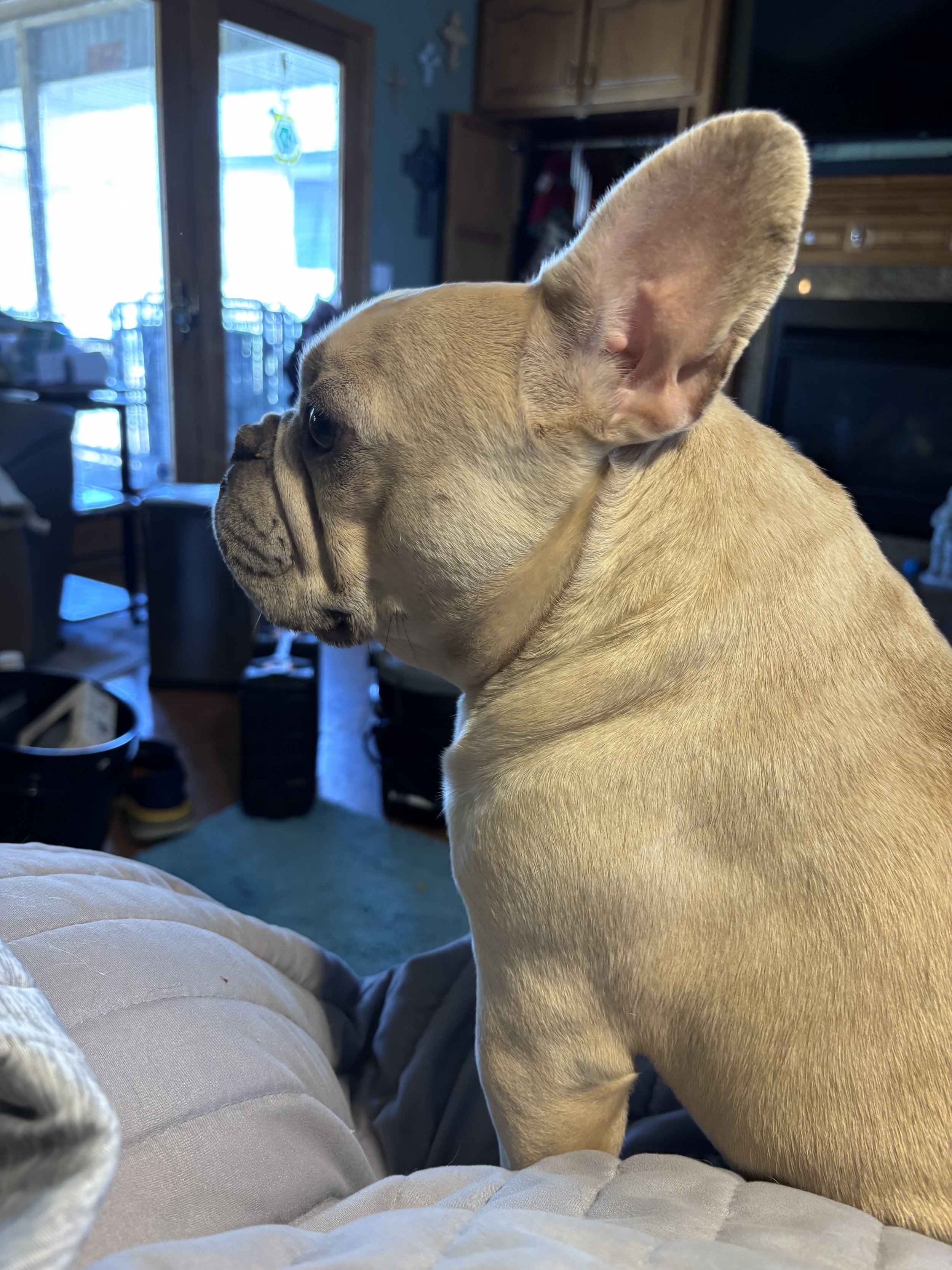 IMG_5300.jpeg