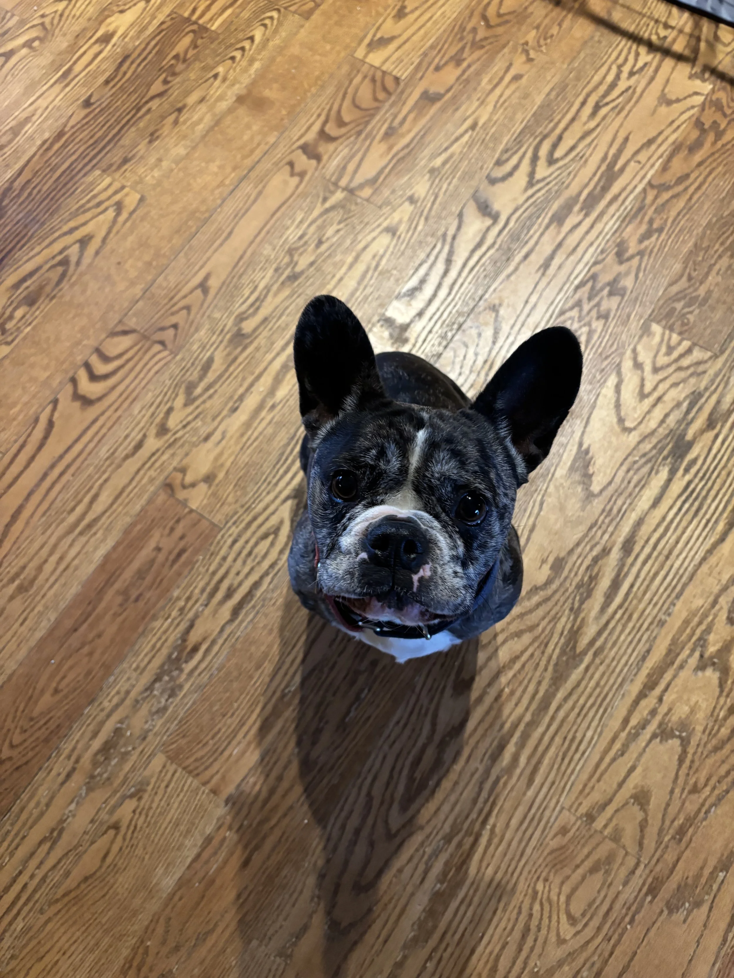 IMG_2847.jpeg
