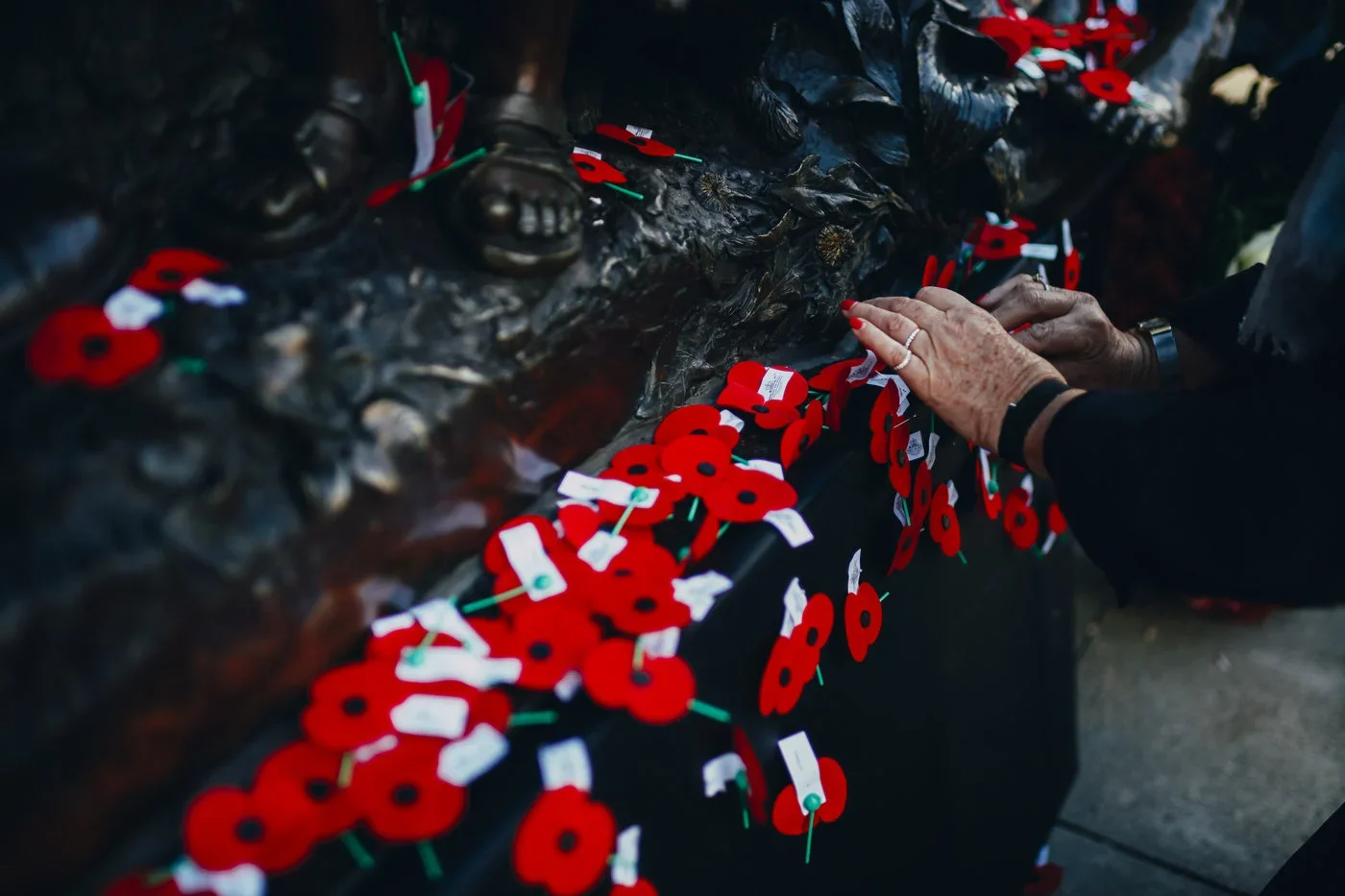 Person placing red paper poppies on a memorial or memorial plaque.