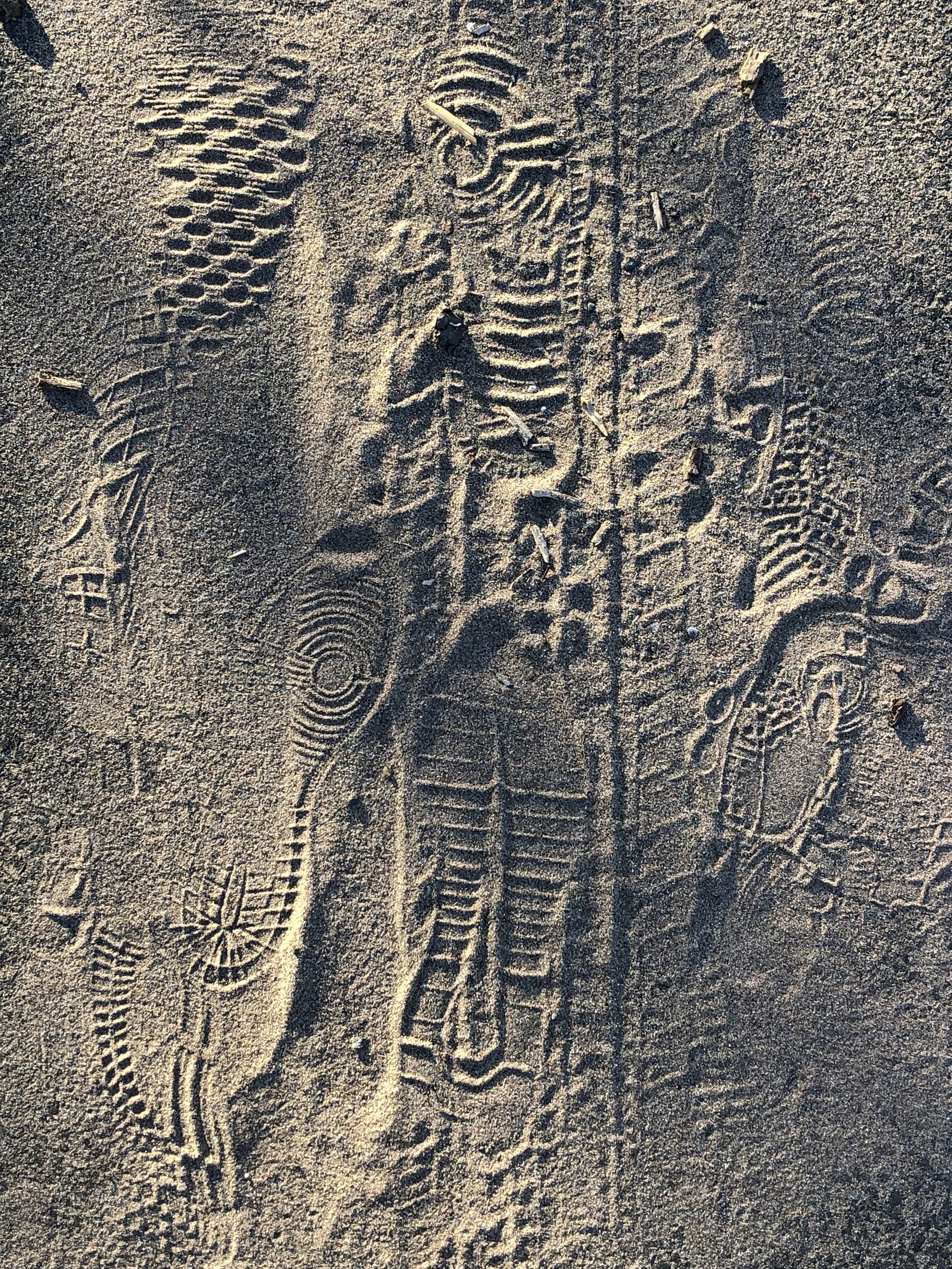 Photos & Findings