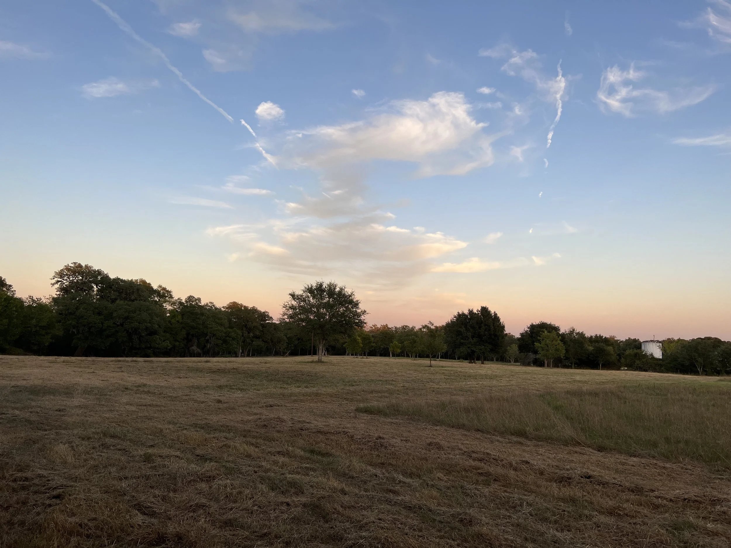 IMG_5783.jpeg