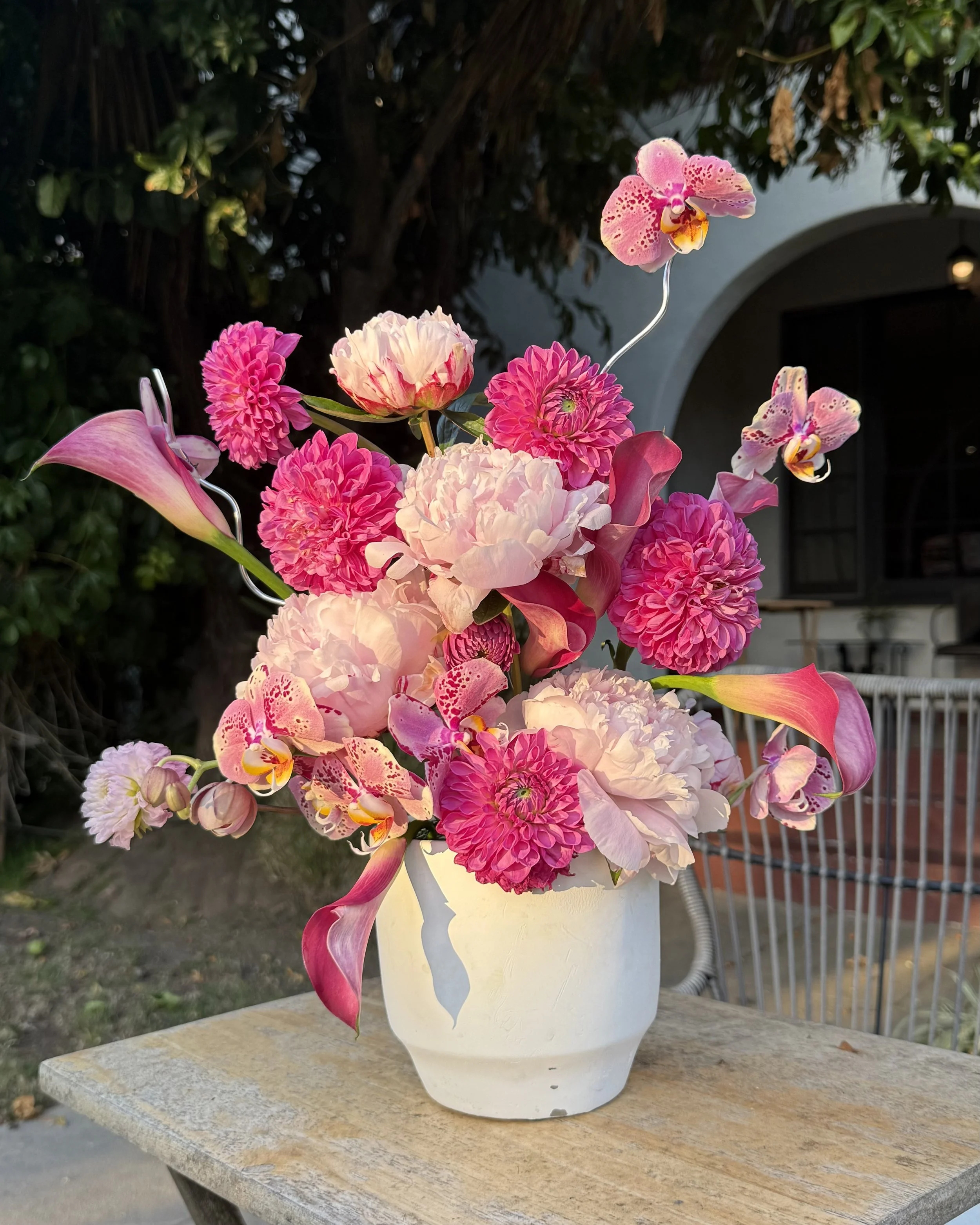 IMG_2192.jpeg