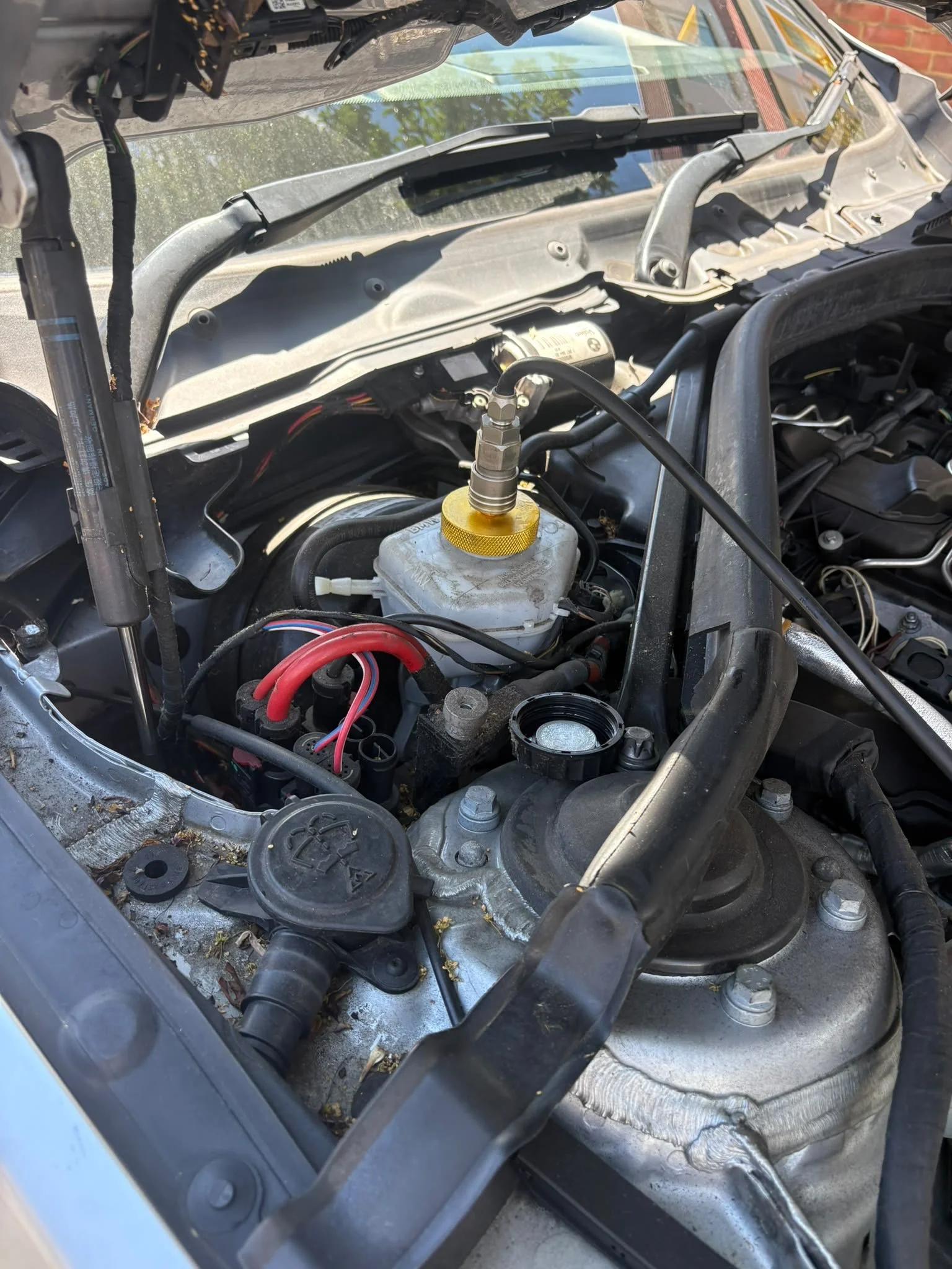 412f8c27-c7a8-4c05-8794-17e5f59ccada.JPG