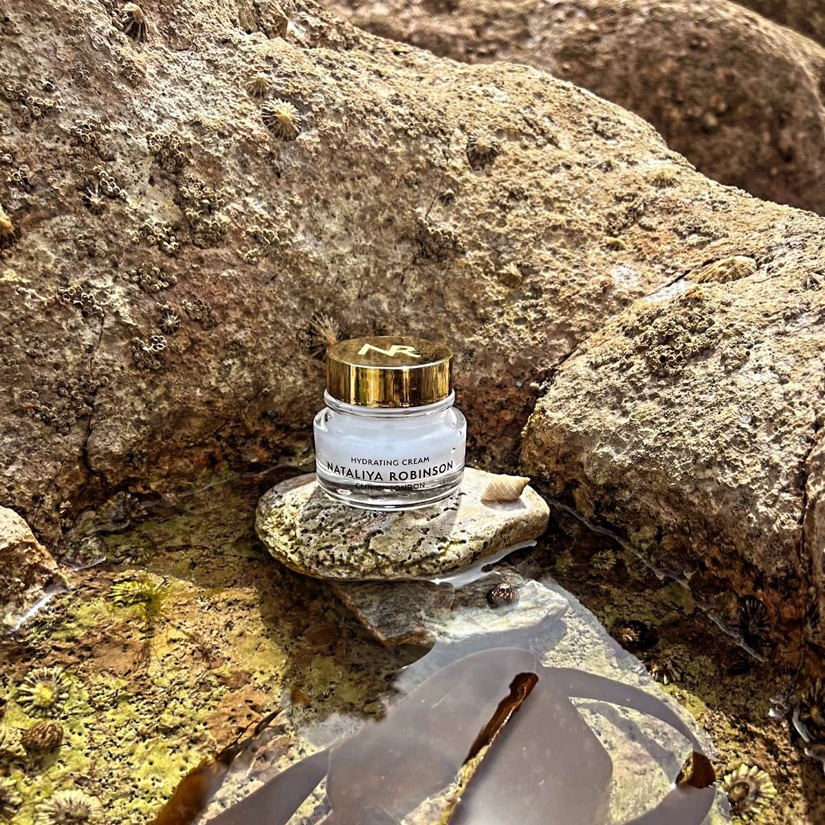 At Nataliya Robinson Skincare Collection, our philosophy is rooted in marine-infused ingredients and the remarkable benefits they can bring to the skin.

Our formulas feature Chondrus crispus (Irish moss) and kelp extracts, naturally rich in marine p