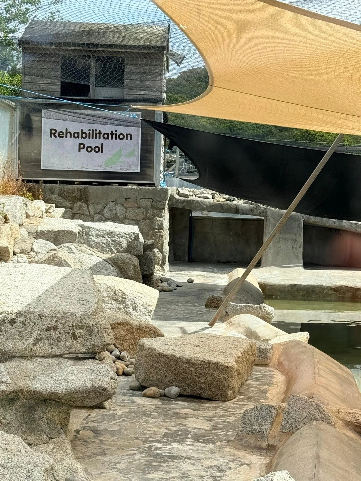 A rehabilitation pool with rocks around the edge, shaded by large beige and black sun shades, and a wooden structure with a sign that reads "Rehabilitation Pool".