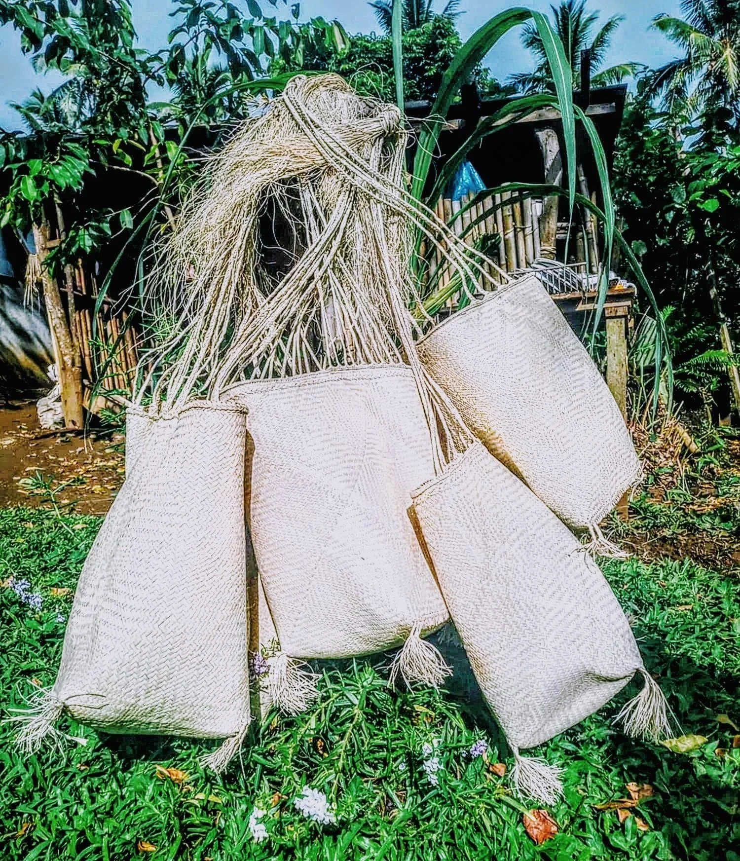 Vanuatu Handwoven woven-fiber bags hanging outdoors in a lush tropical garden