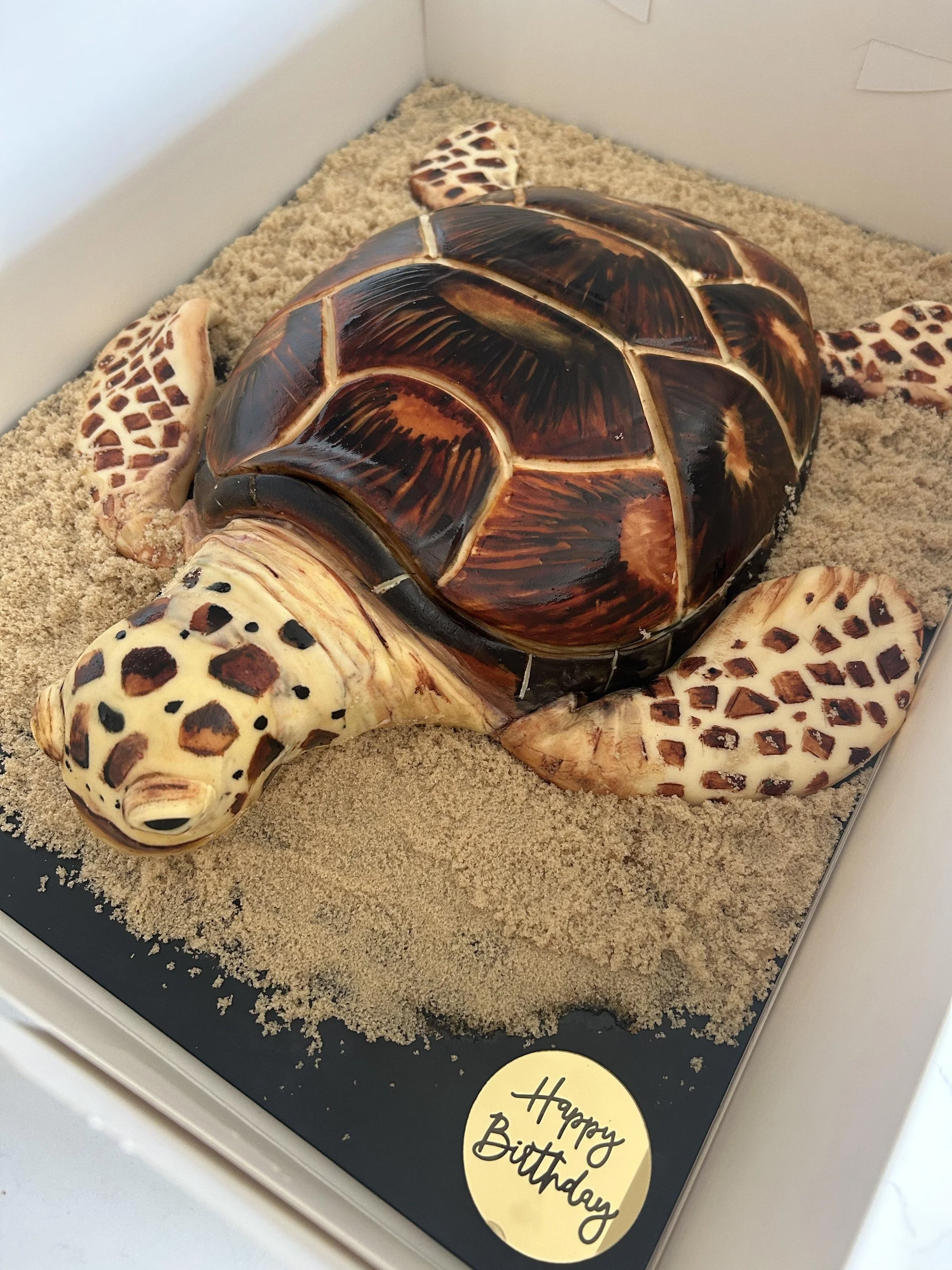 A birthday cake designed to look like a giant turtle, with a turtle shell and limbs, in a display case with sand-like decor. There is a yellow circular cake topper with the words "Happy Birthday" written on it.