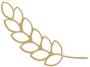 A stylized illustration of a wheat stalk with a black background.
