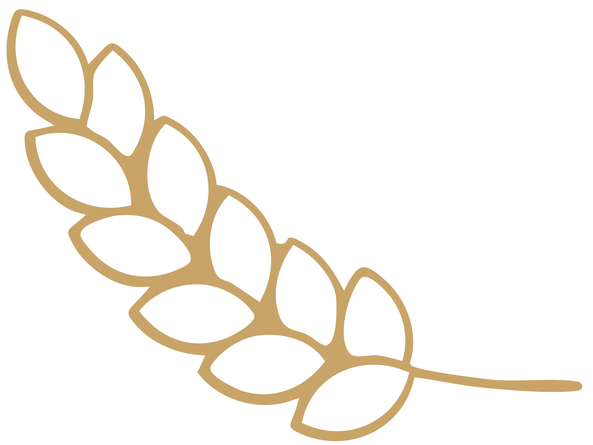 Outline of a branch with leaves in gold color on a black background.