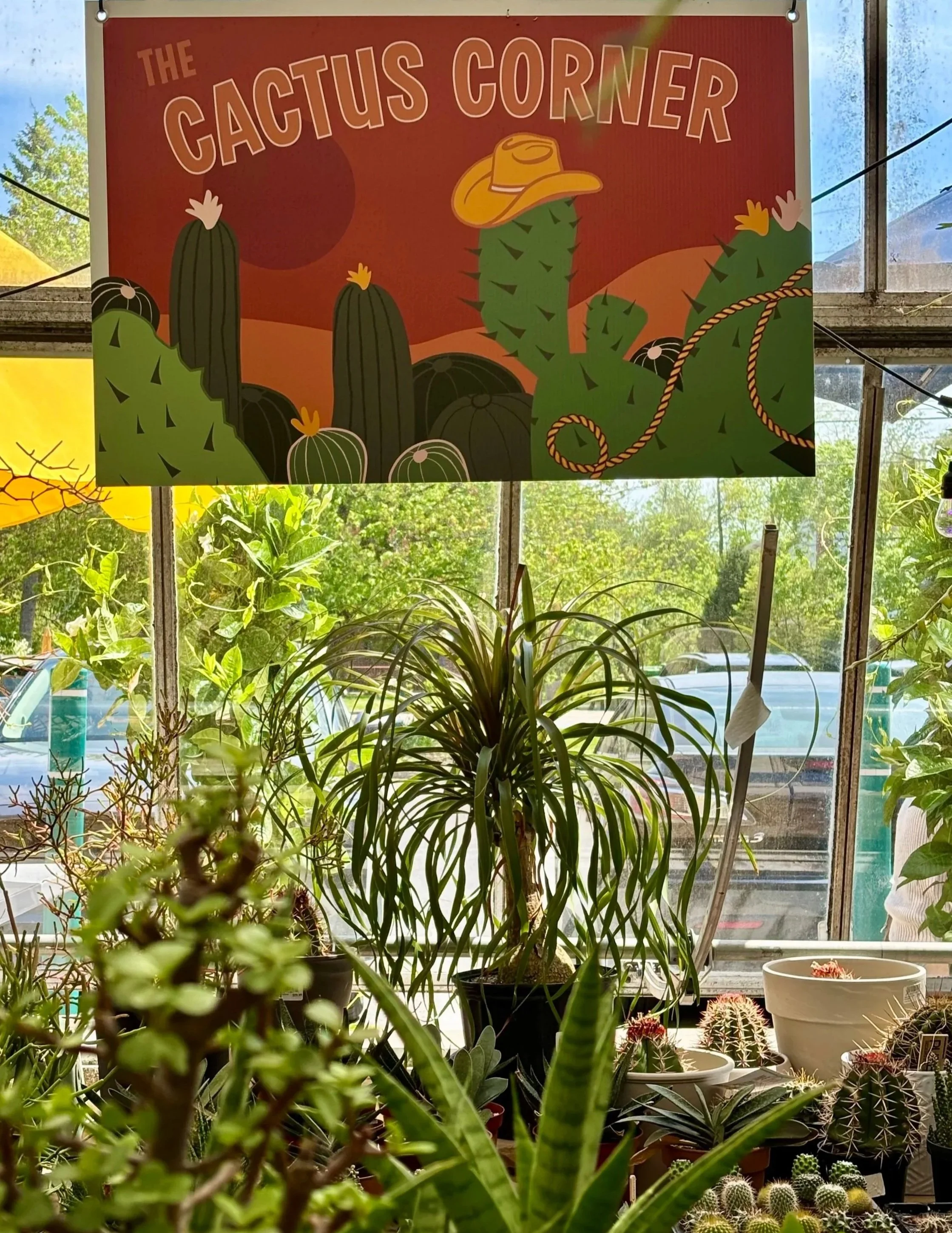 Cactus Corner artwork installed in an Adams garden center