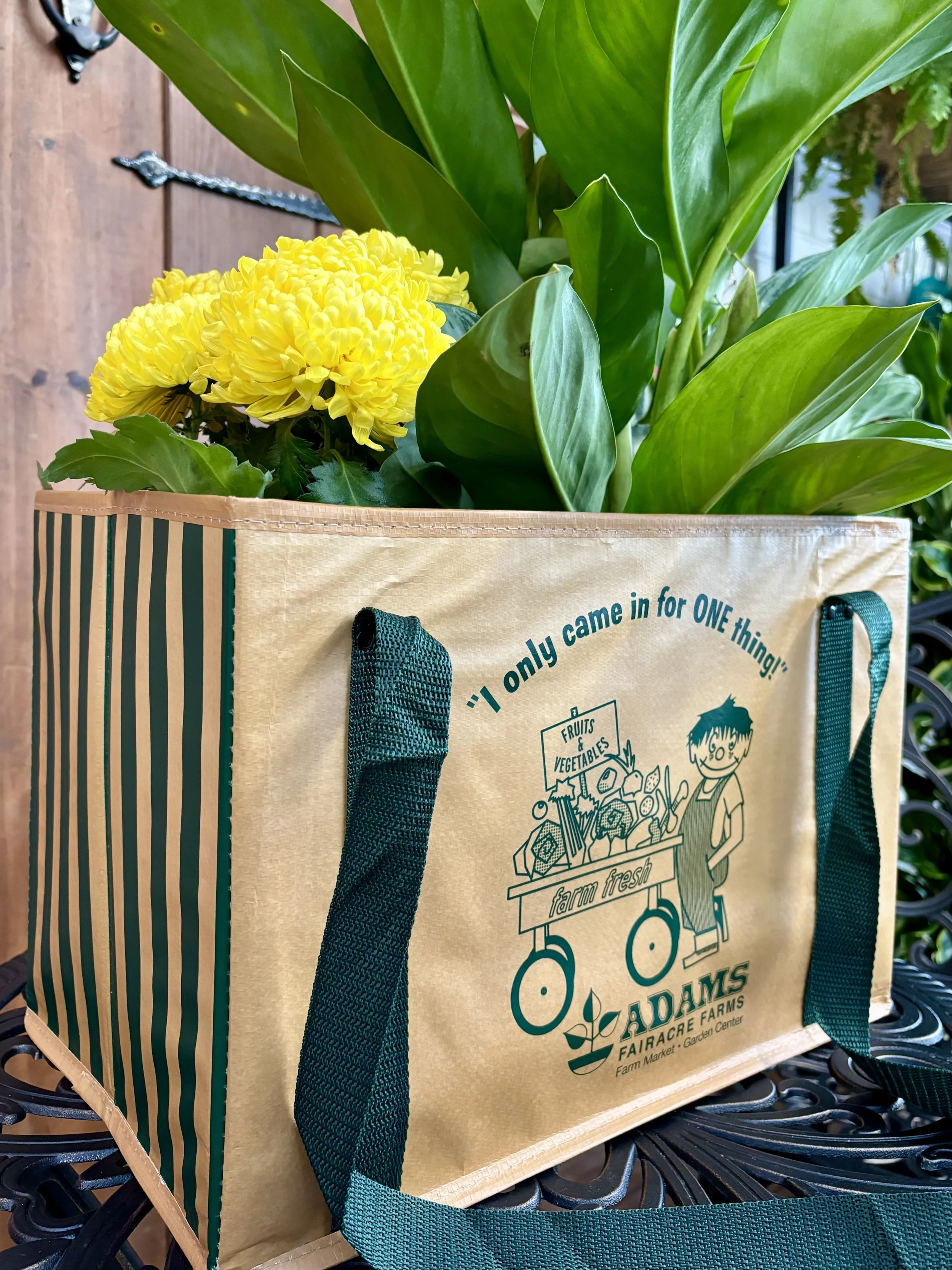 Finished Adams reusable grocery bag featuring the reconstructed illustration