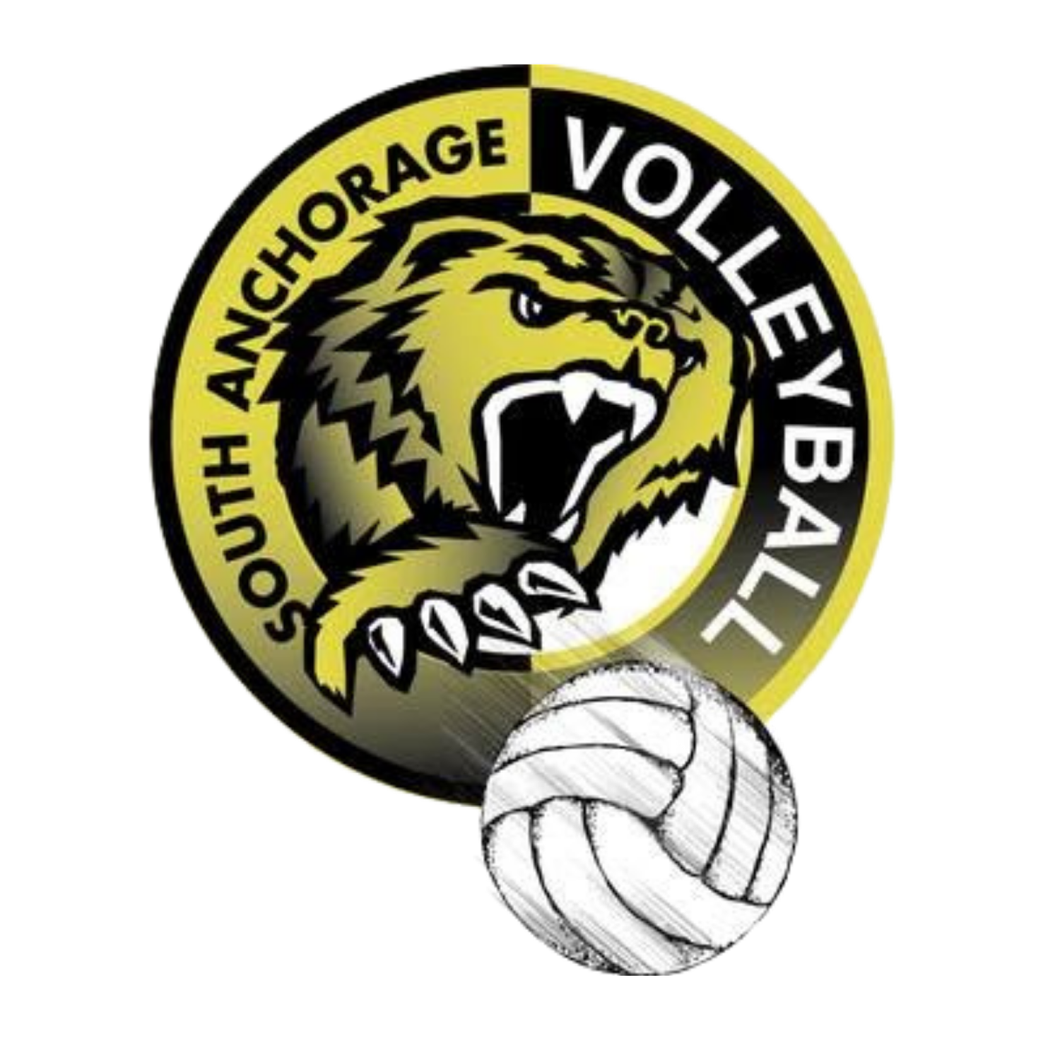 South Anchorage Volleyball