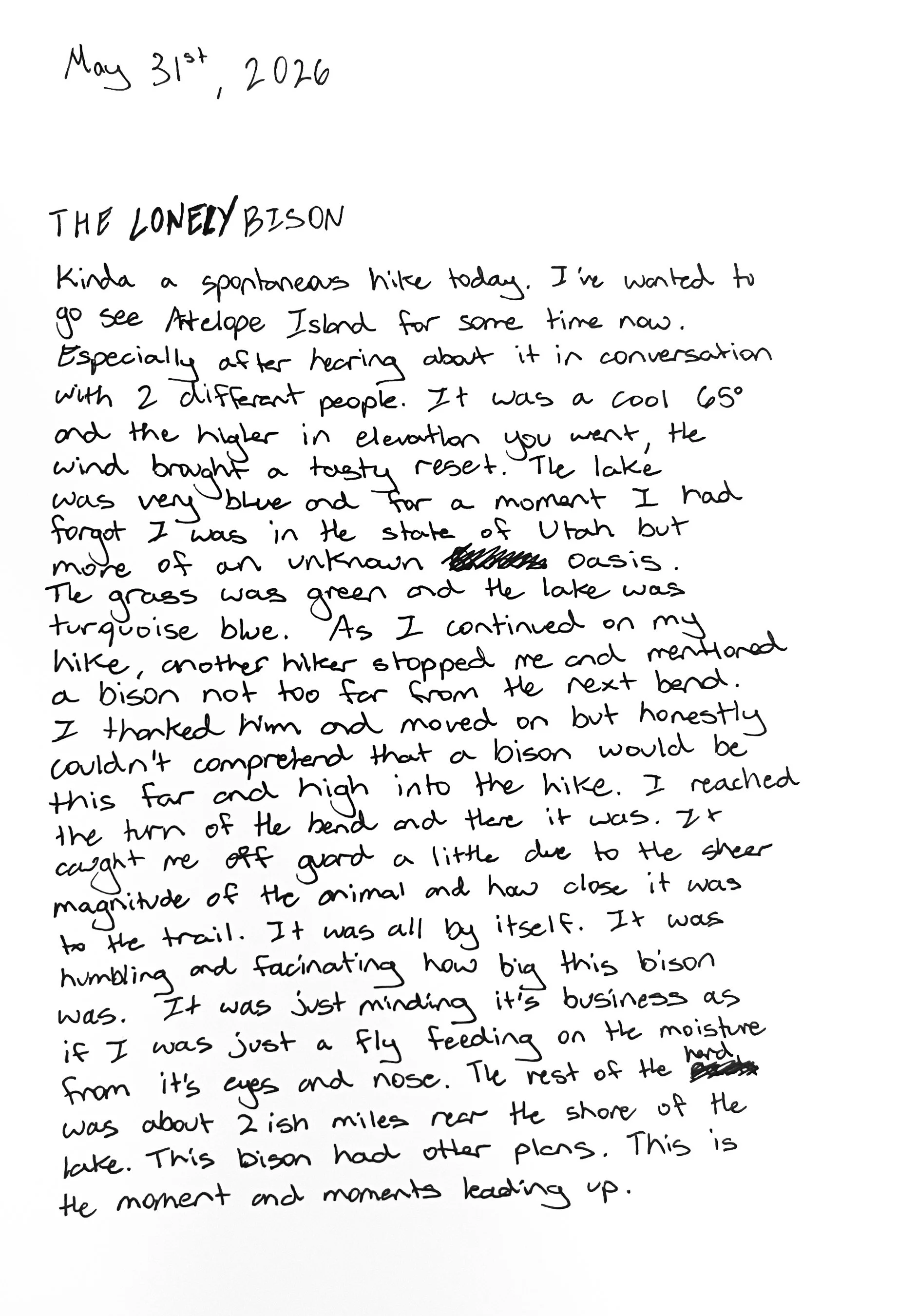 5.31.26_Ant Island journal entry FINAL.jpg