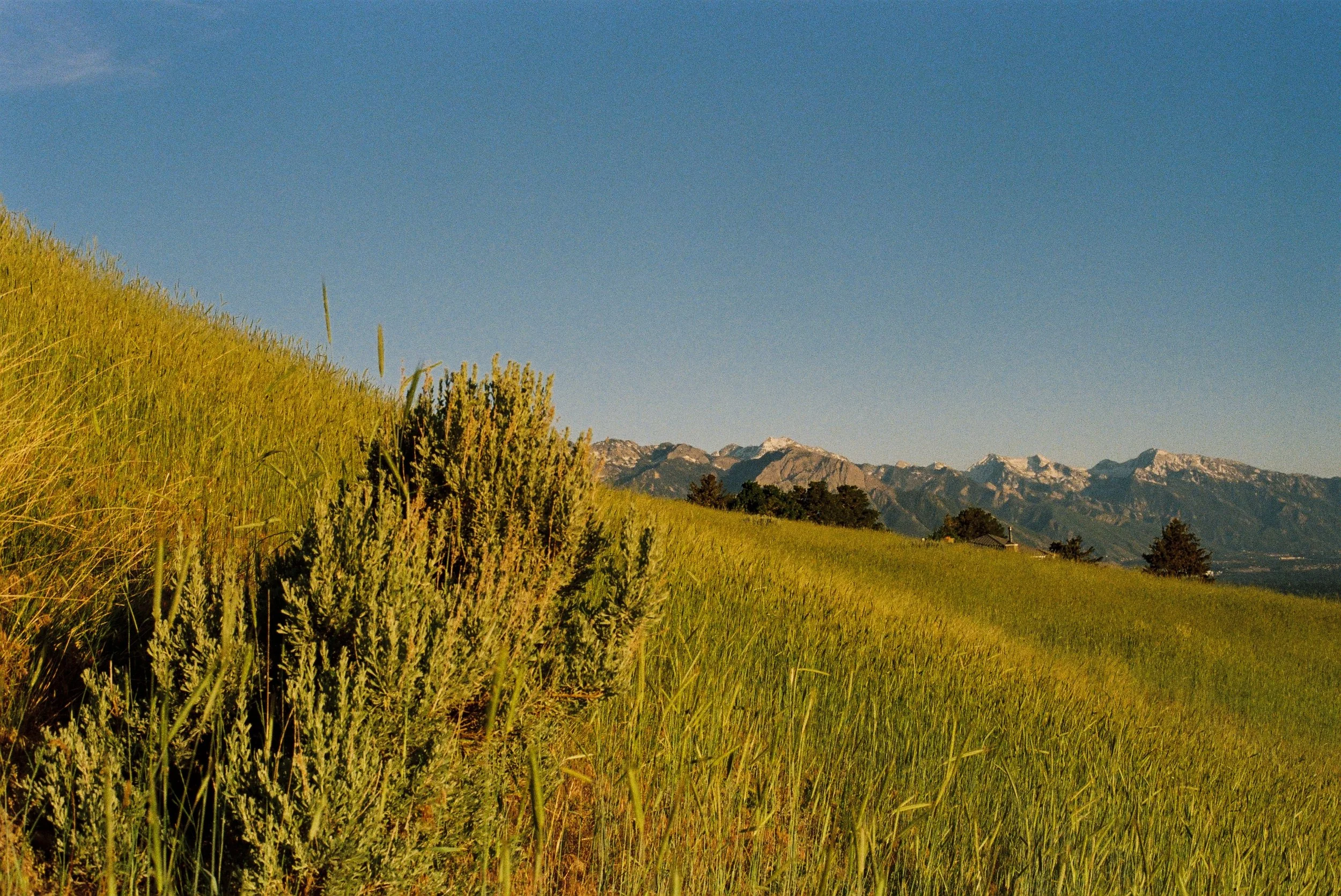 Photo.JPG