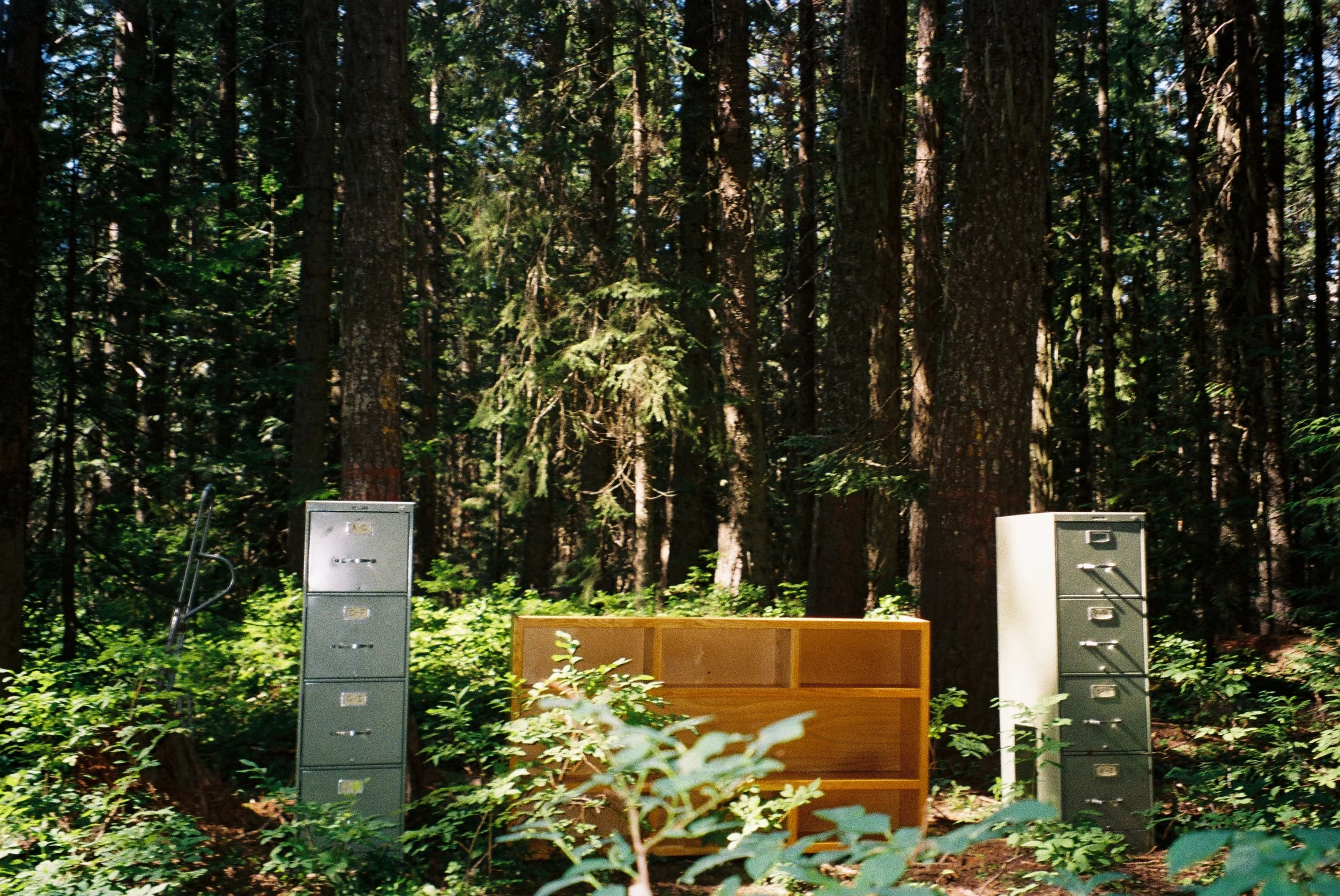 Photo19.JPG