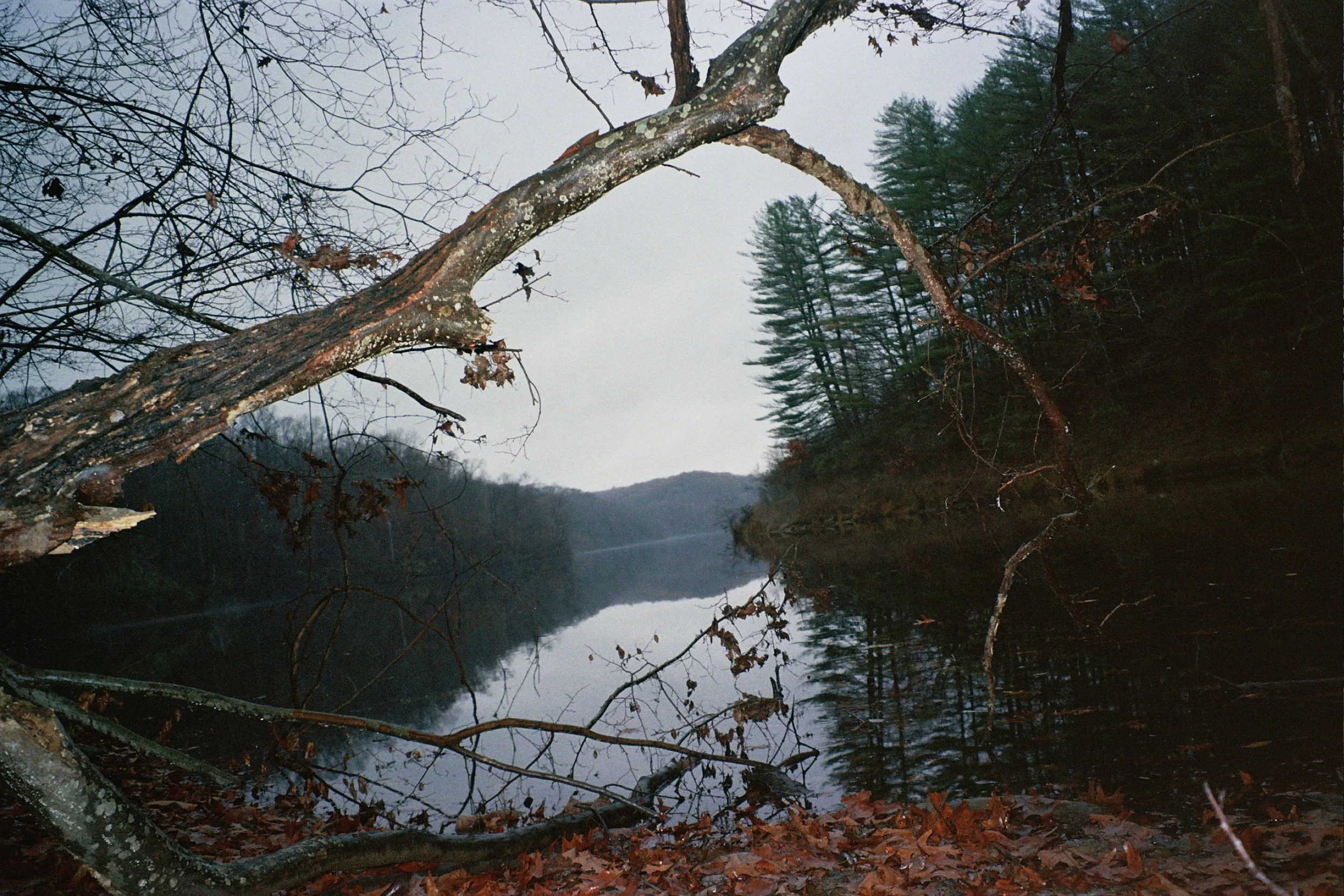 __2_0139.jpg