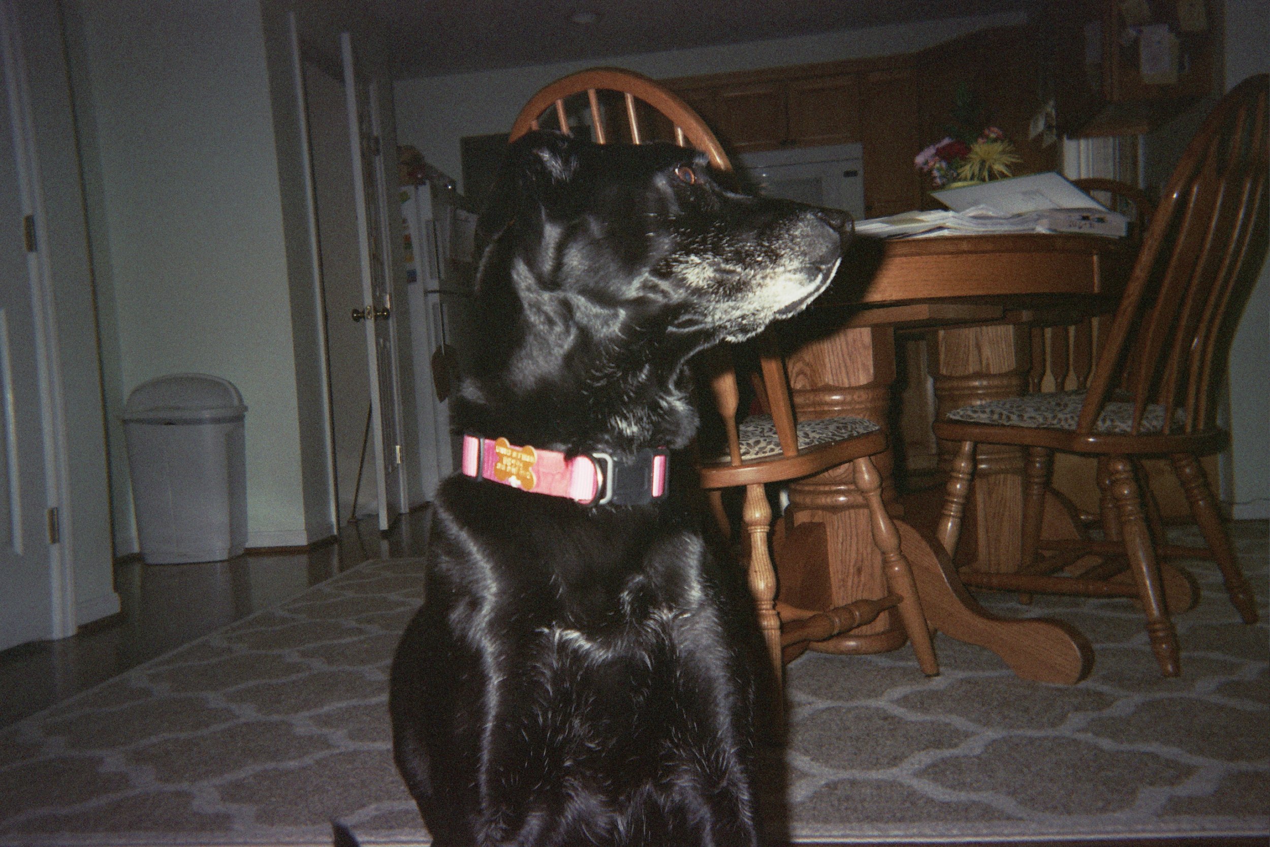 25A_0745.jpg