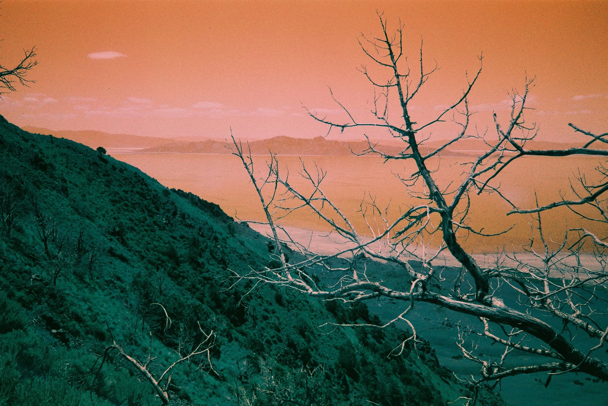 Photo12.JPG