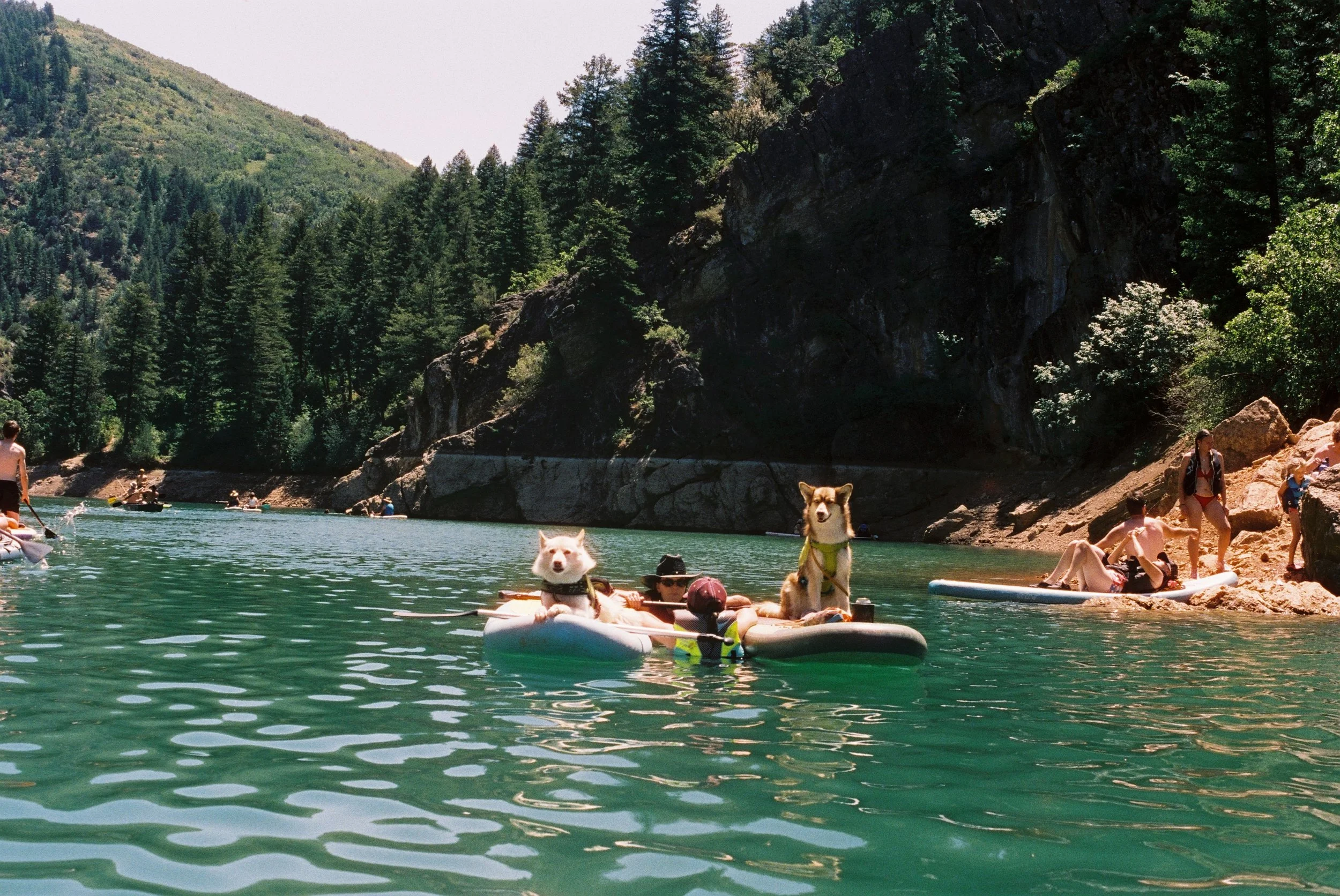 Photo14.JPG