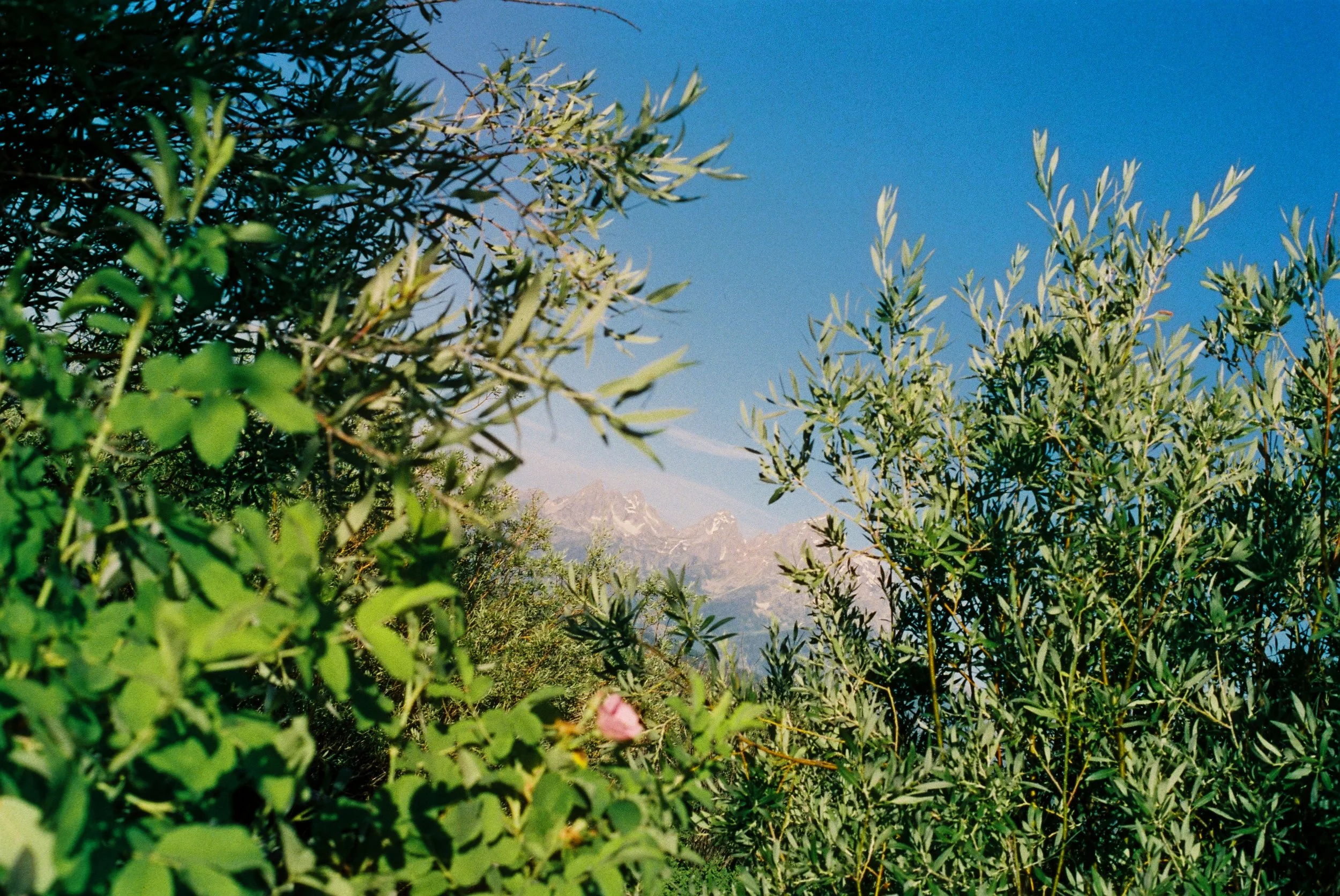 Photo27.JPG