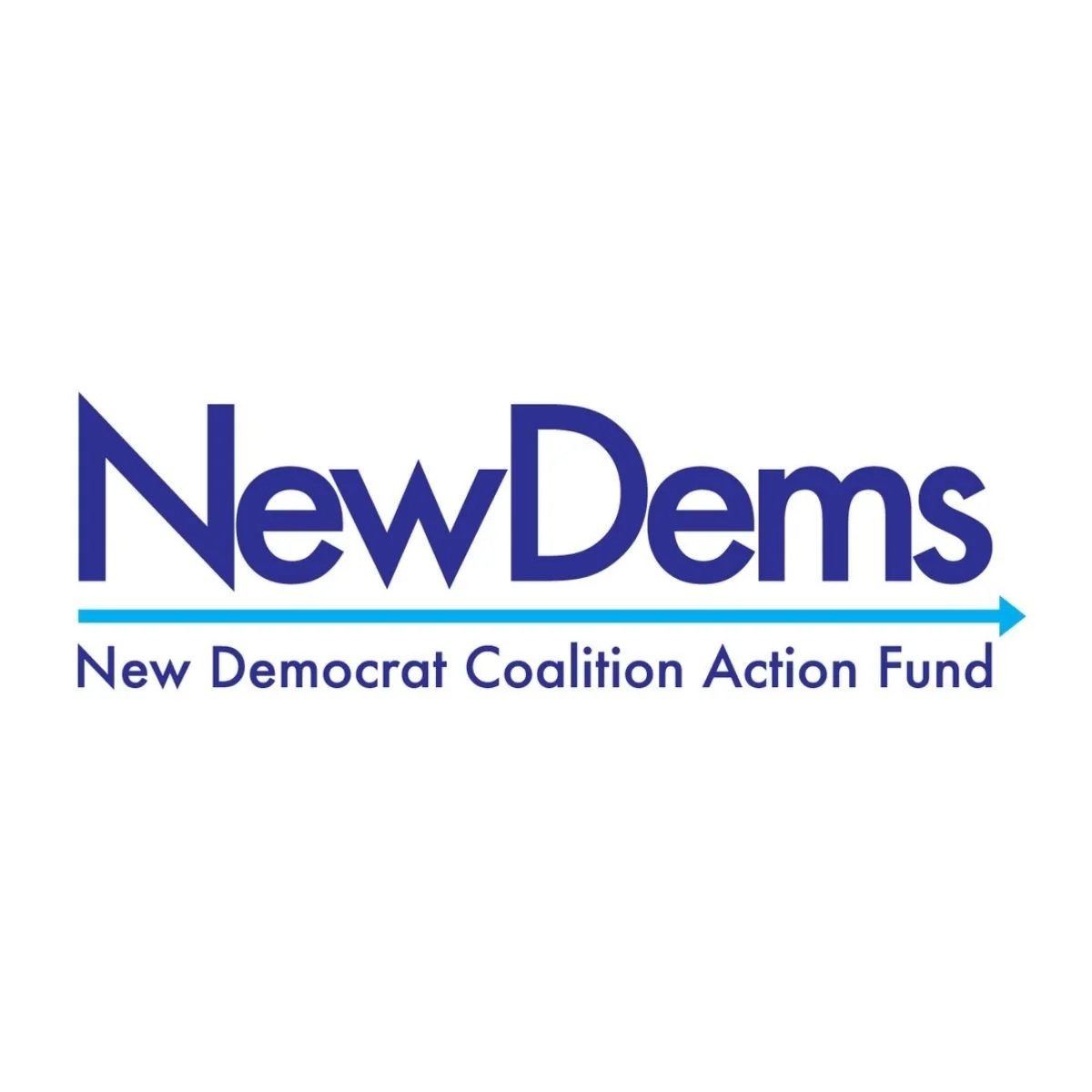 NewDem Action Fund