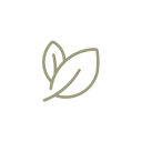 Simple outline of a plant leaf